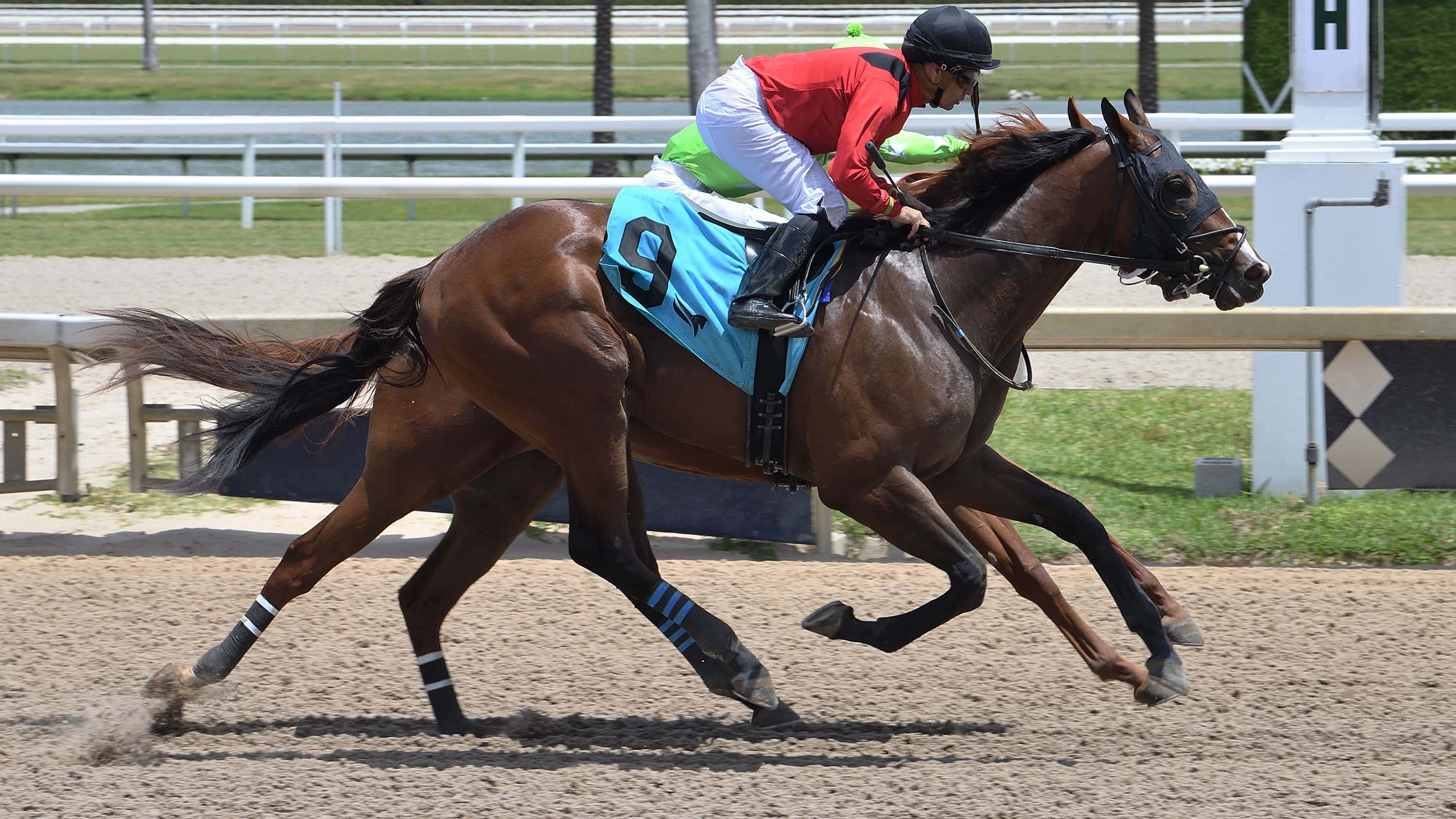 Squire ‘Ready to Go’ in Saturday’s $100,000 Dr. Fager