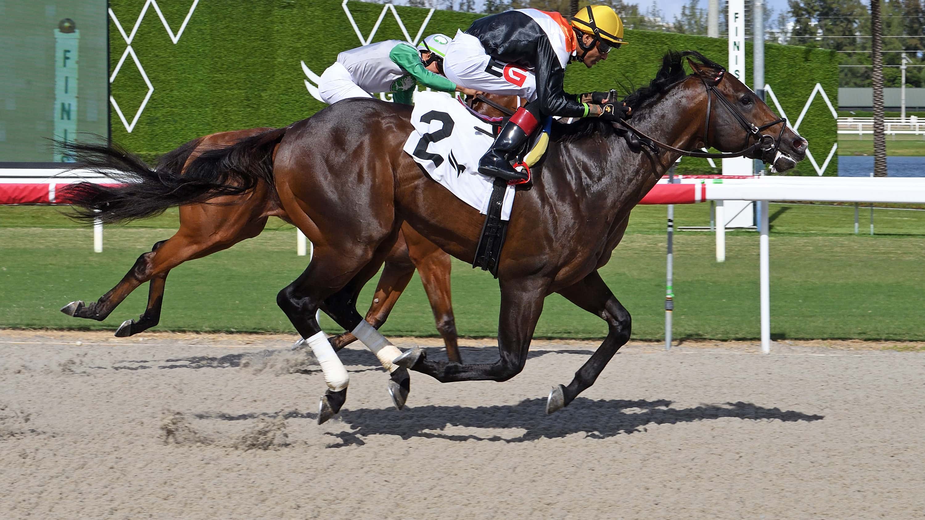 Unwritten Rule Chases Down Monster for Roar Victory