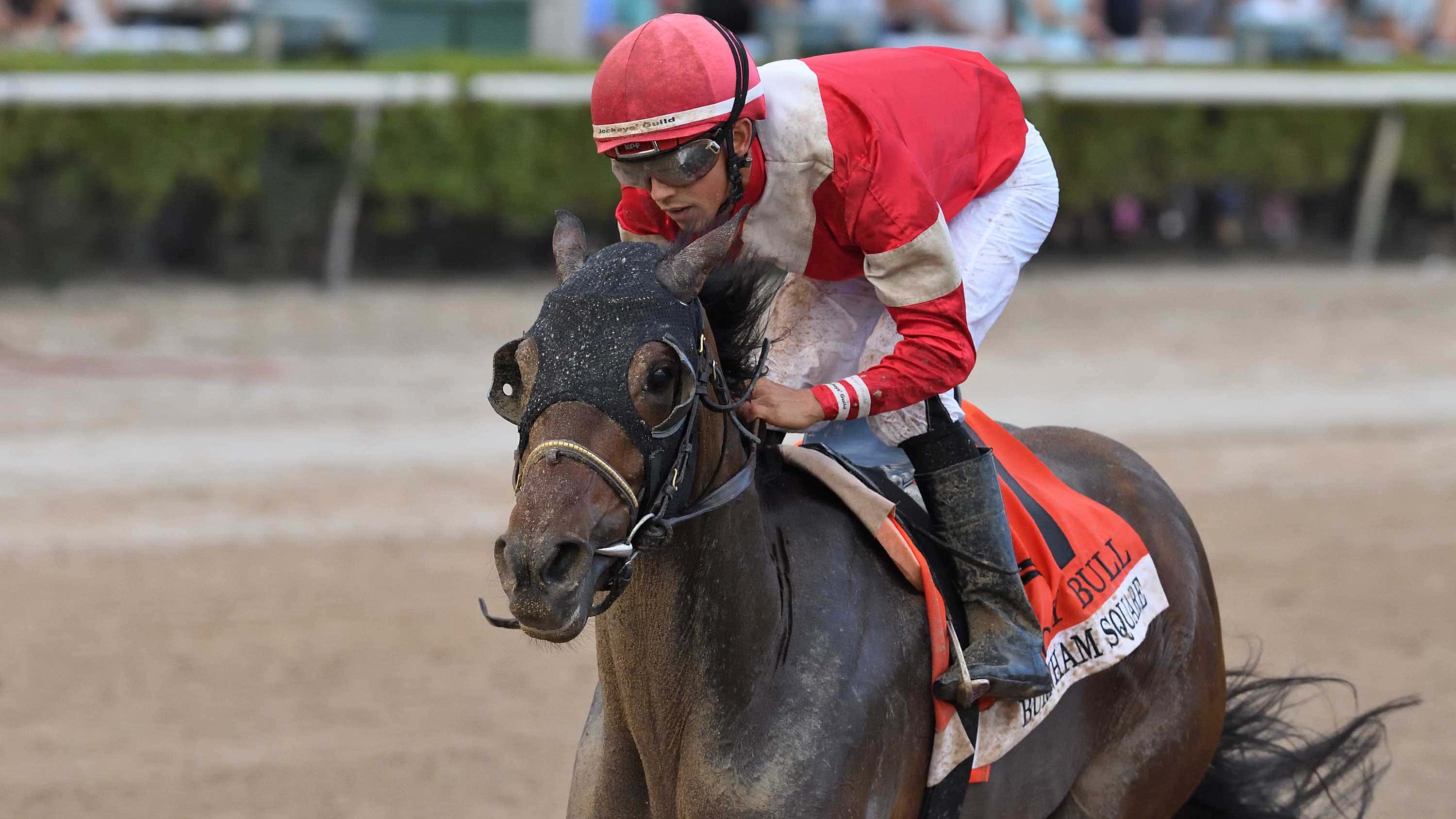 Burnham Square ‘Bright and Alert’ After Holy Bull (G3) Win