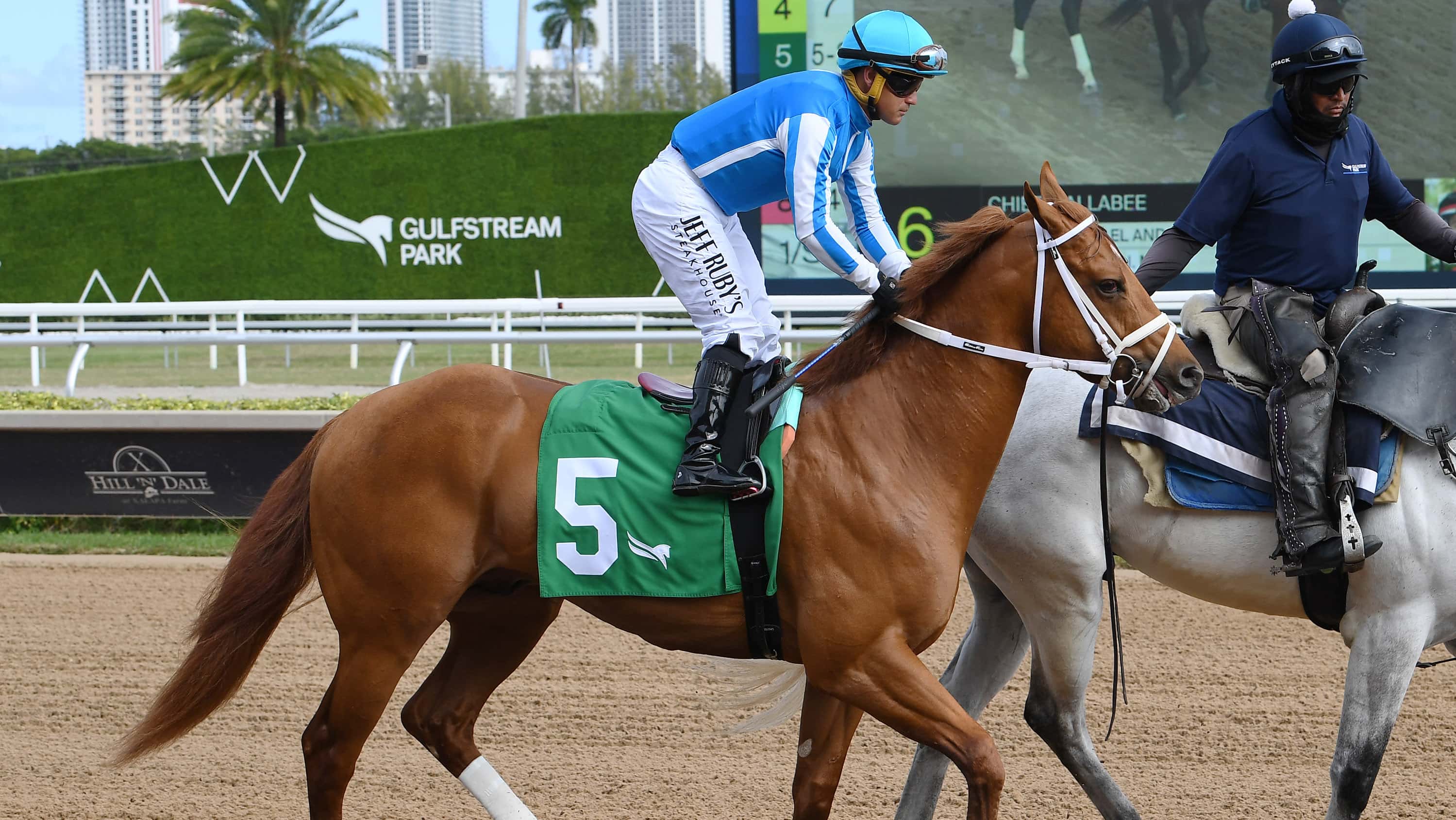 The Puma Following Mage’s Example in Gulfstream Workout