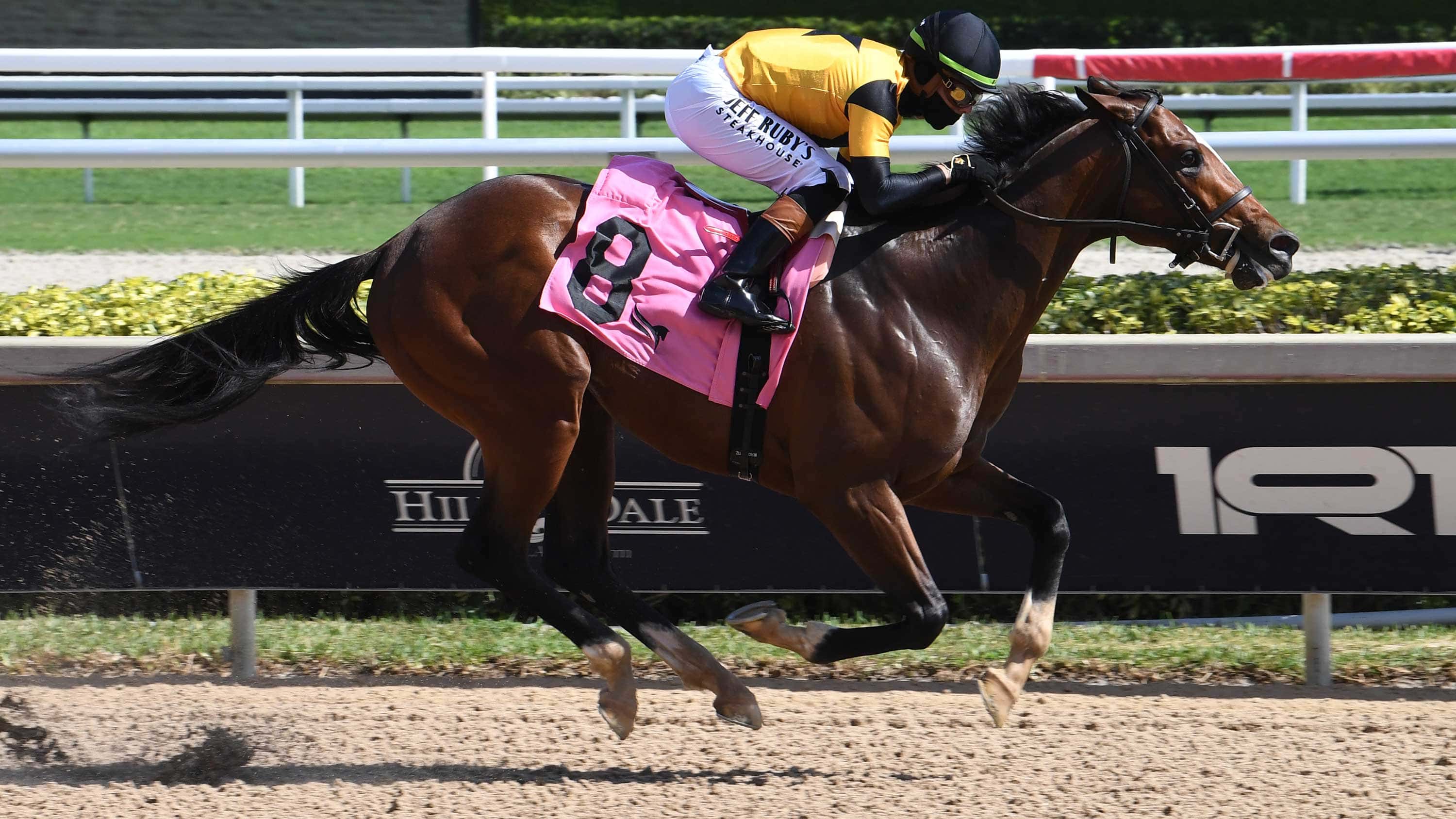 Impressive Debut Winner Sorcerer’s Silver Back Thursday