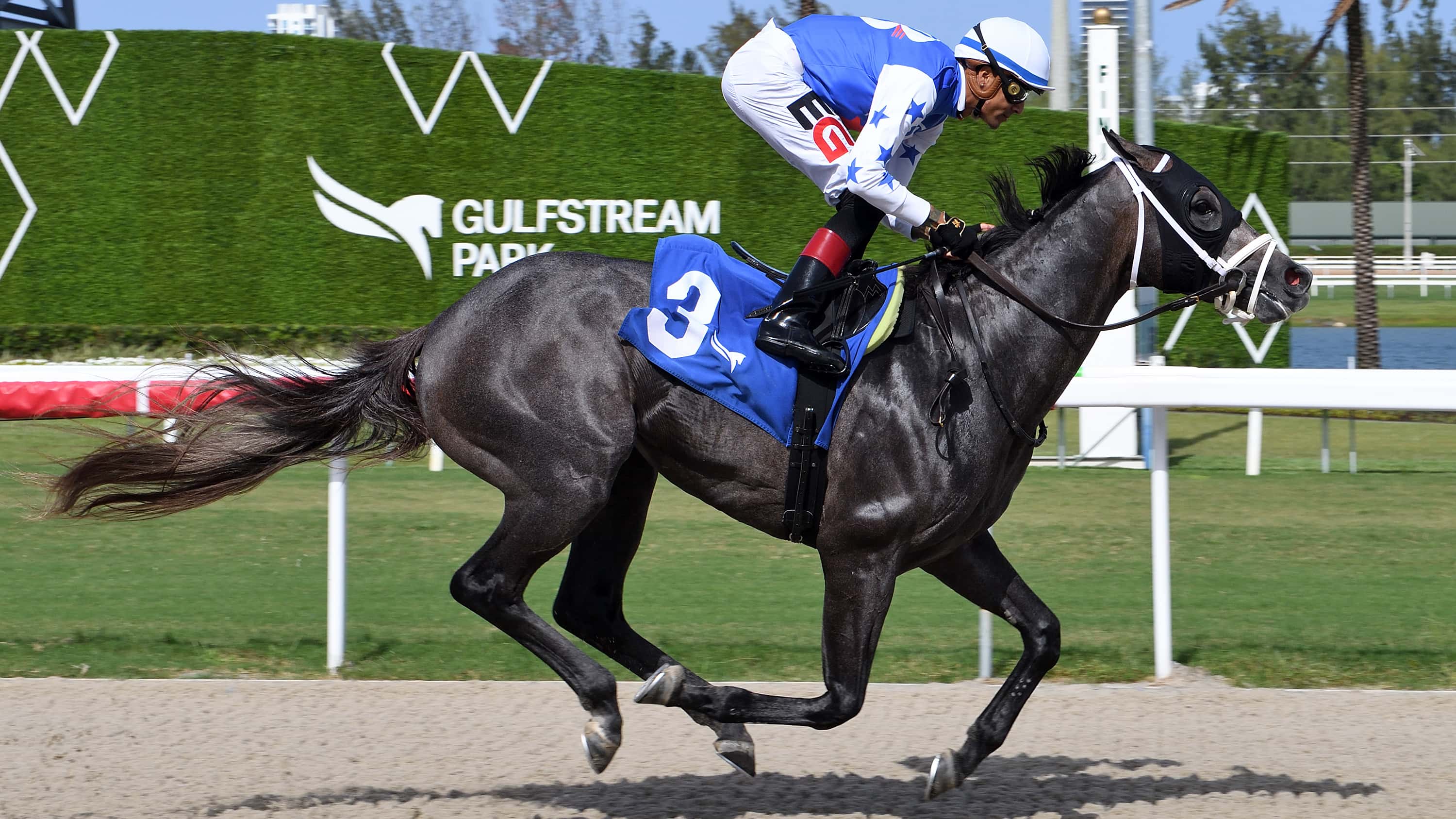 Iron Hand Seeks 5th Win in a Row in Saturday’s Bear’s Den