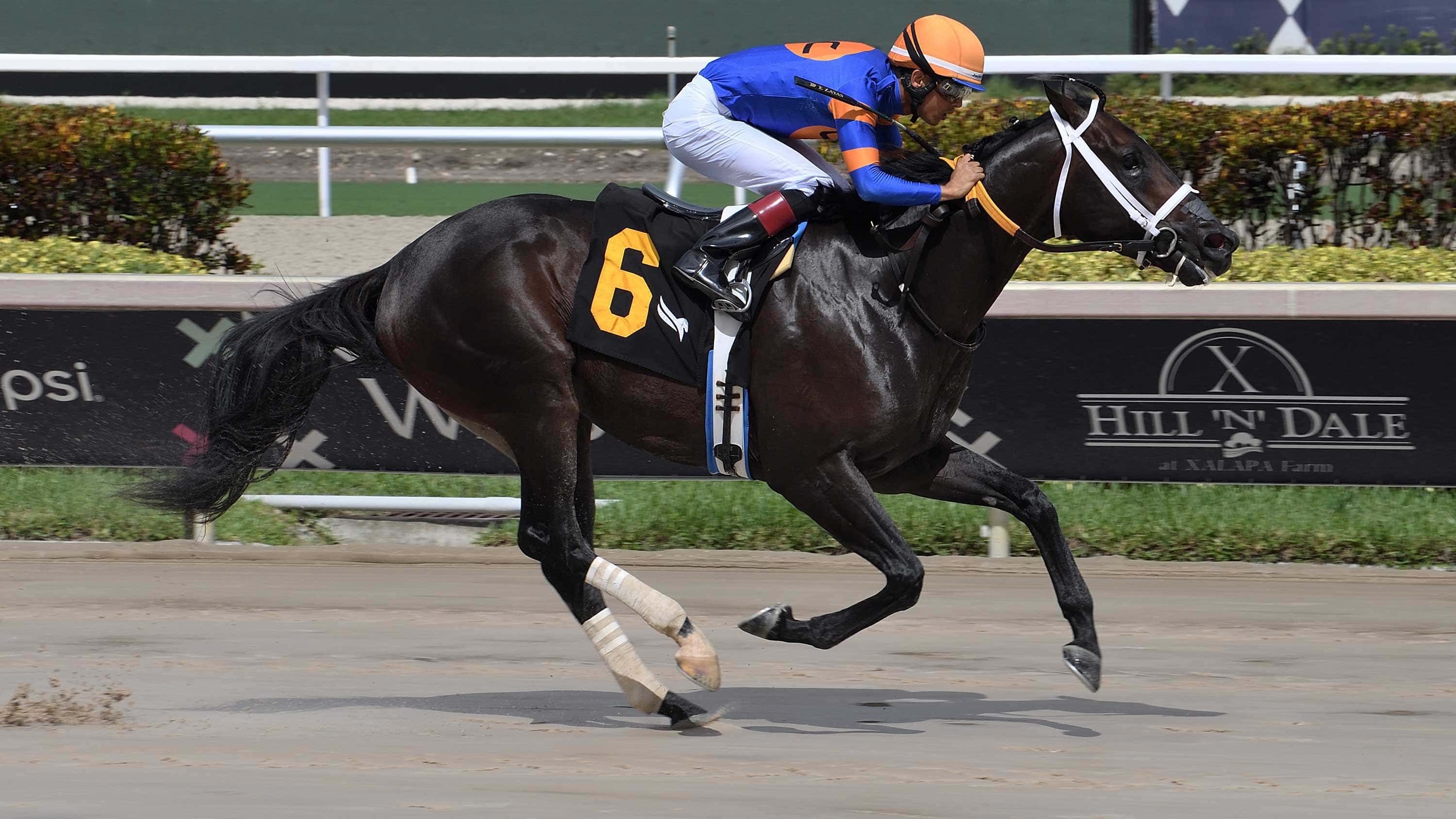 Mandatory Payout of Rainbow 6 Jackpot Pool Set for Sunday