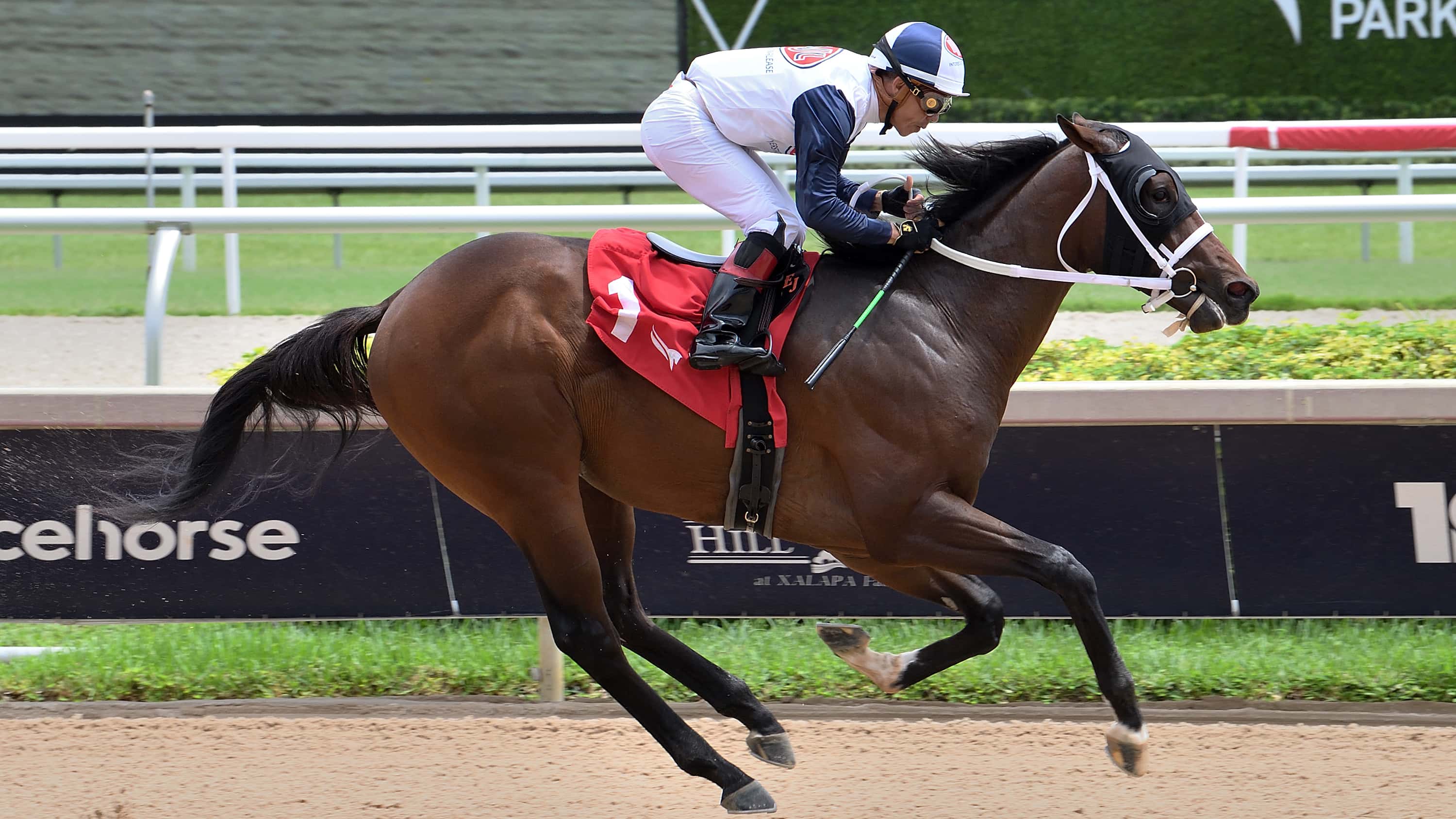 Macho Music Sheds Blinkers for Saturday’s Mucho Macho Man