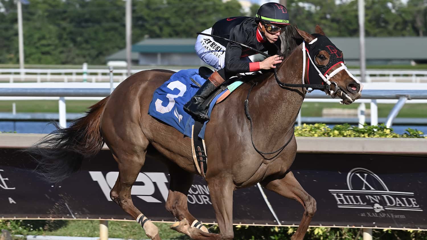 Ms. Bucchero Chasing History in $75,000 Sunshine Sprint