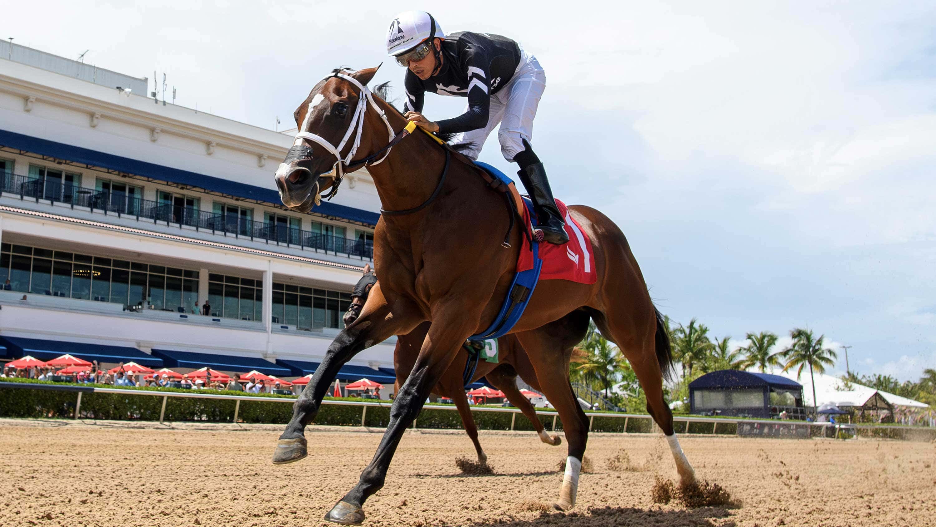 Pricey Filly Love Like Lucy Stepping Up in $100,000 Desert Vixen