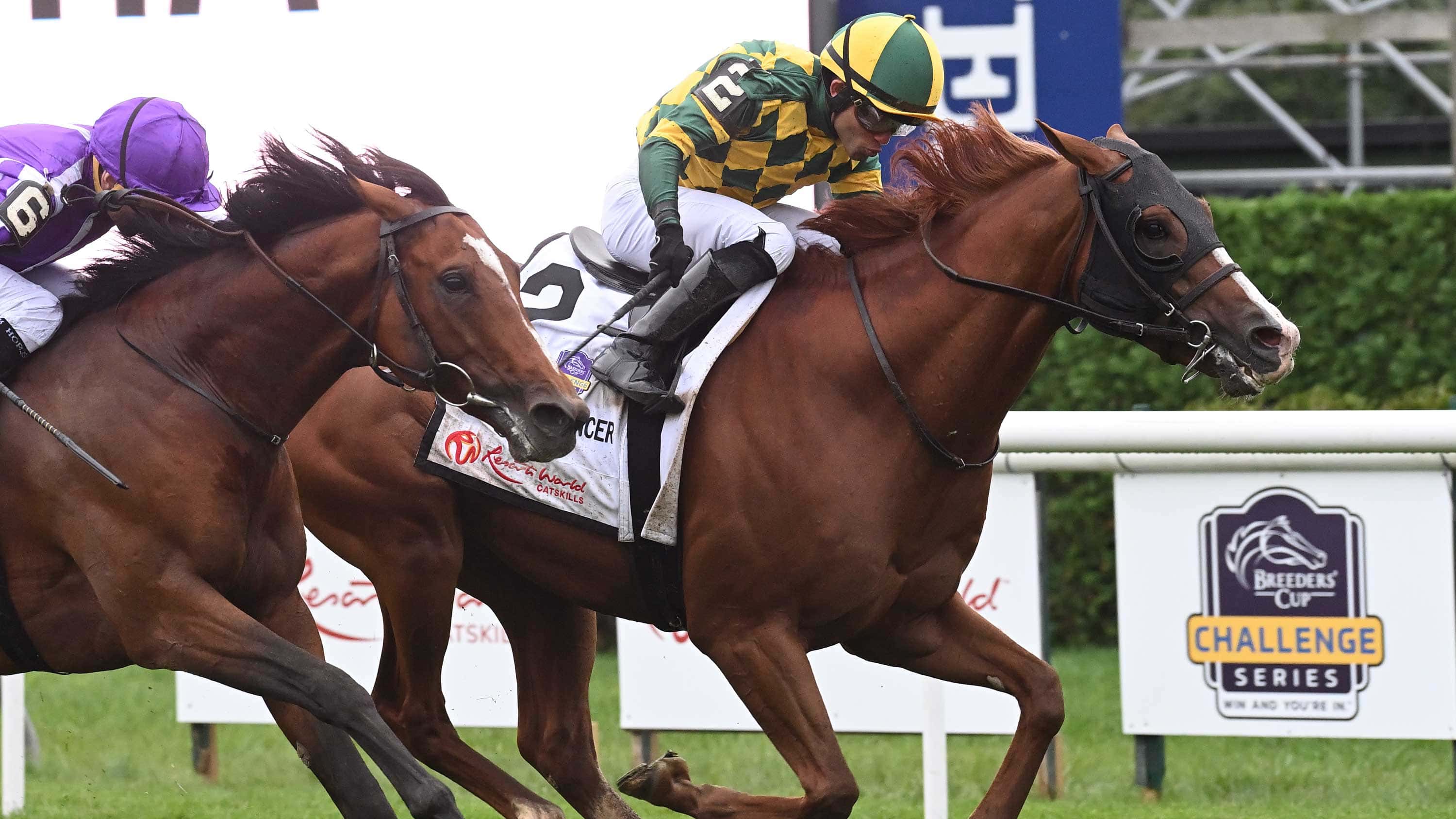 gufo-the-sword-dancer