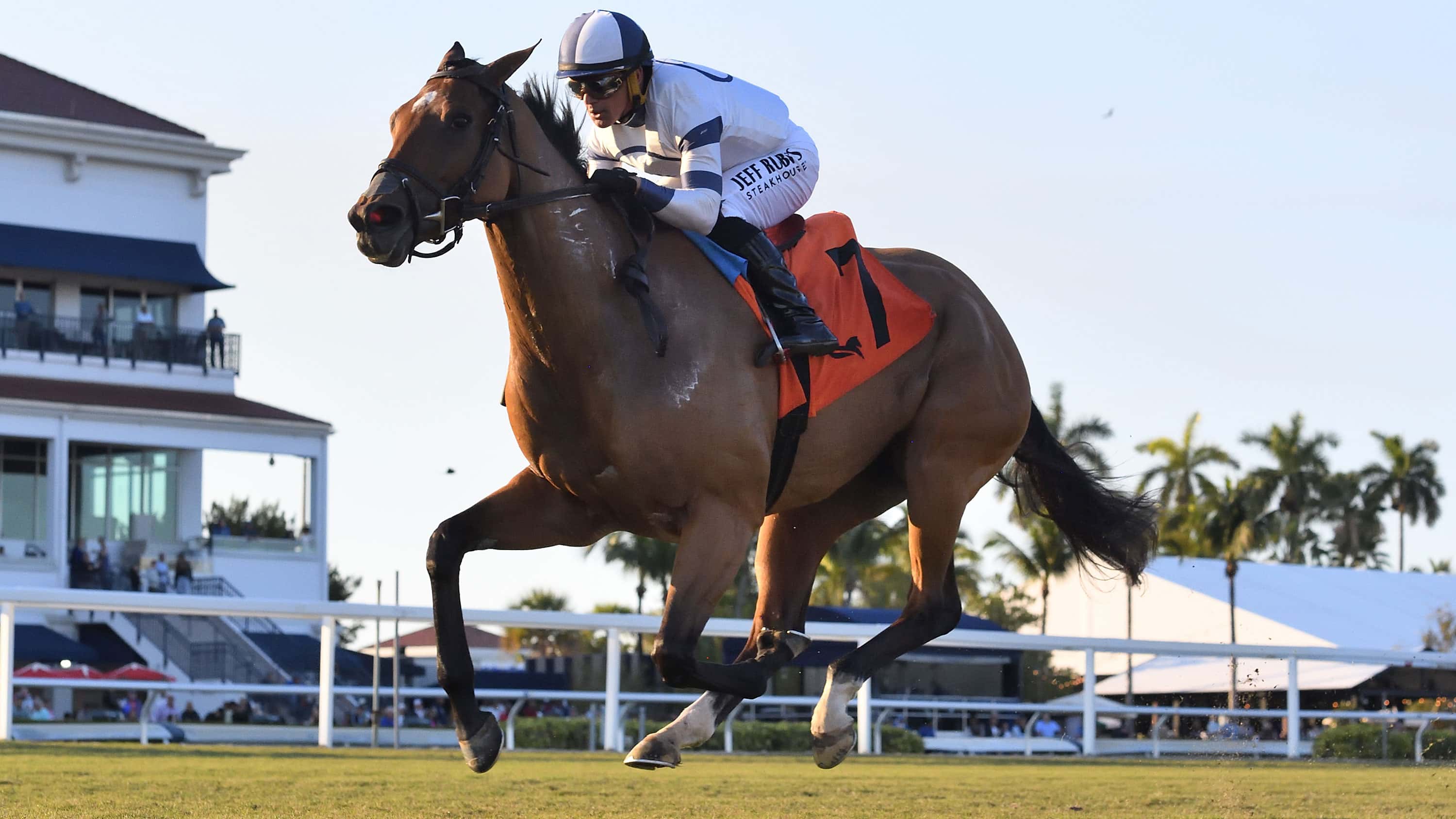 Moon Spun Chasing Turf Stakes Sweep in Captiva Island