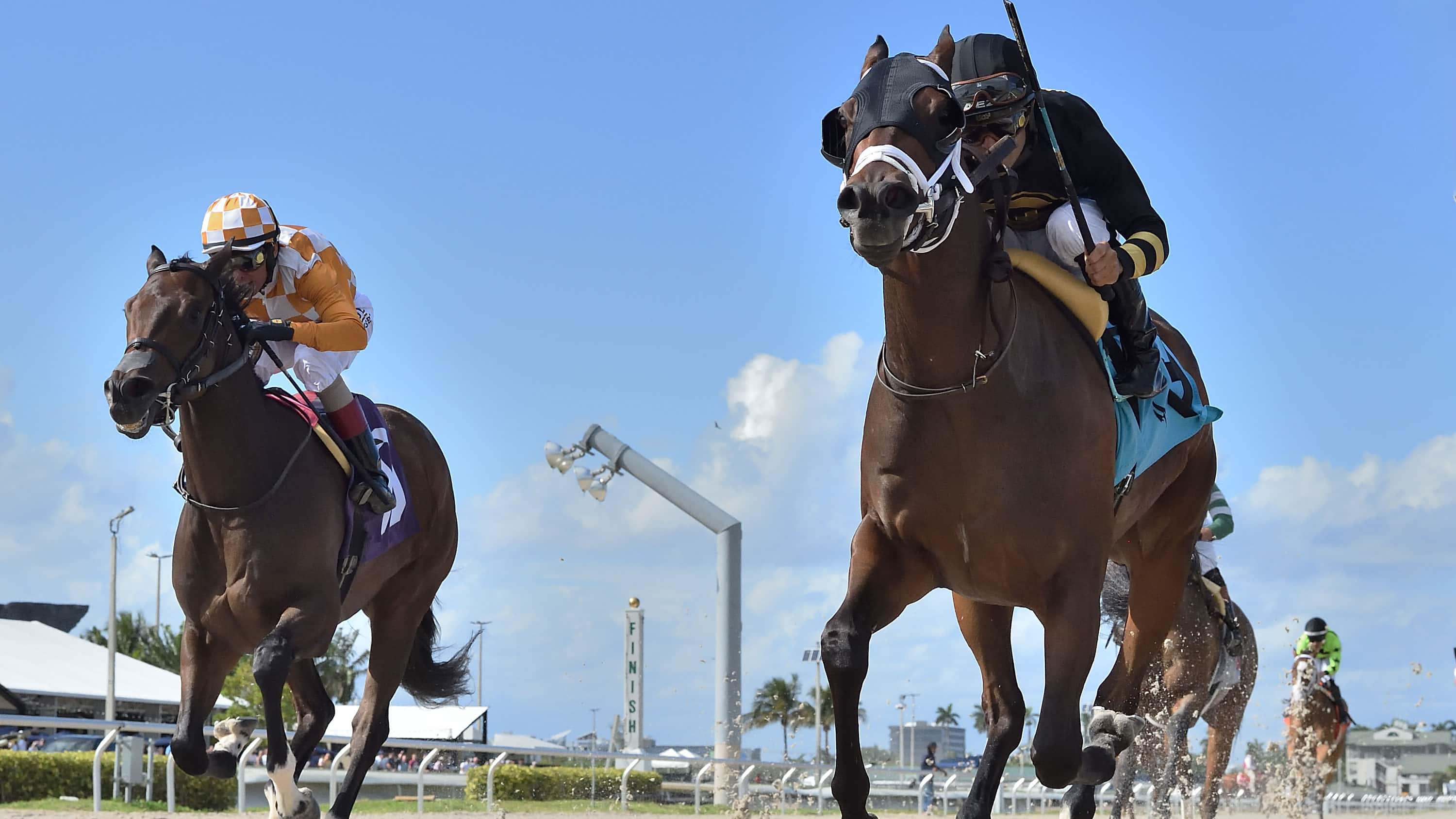 D’Angelo Looking for Twirling Queen to Fire in Islamorada