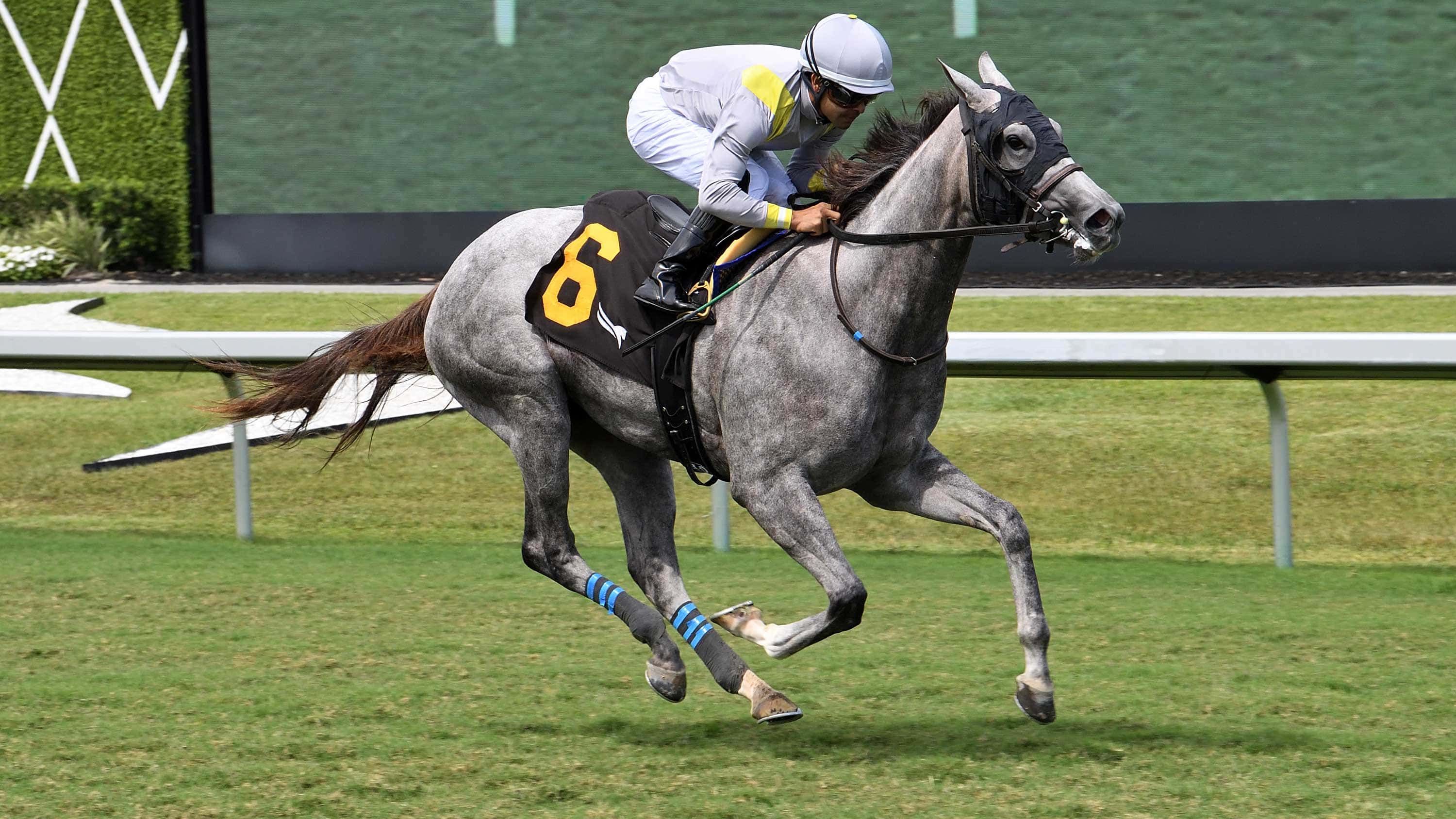 Lennilu Breezes for G2 Queen Mary at Royal Ascot