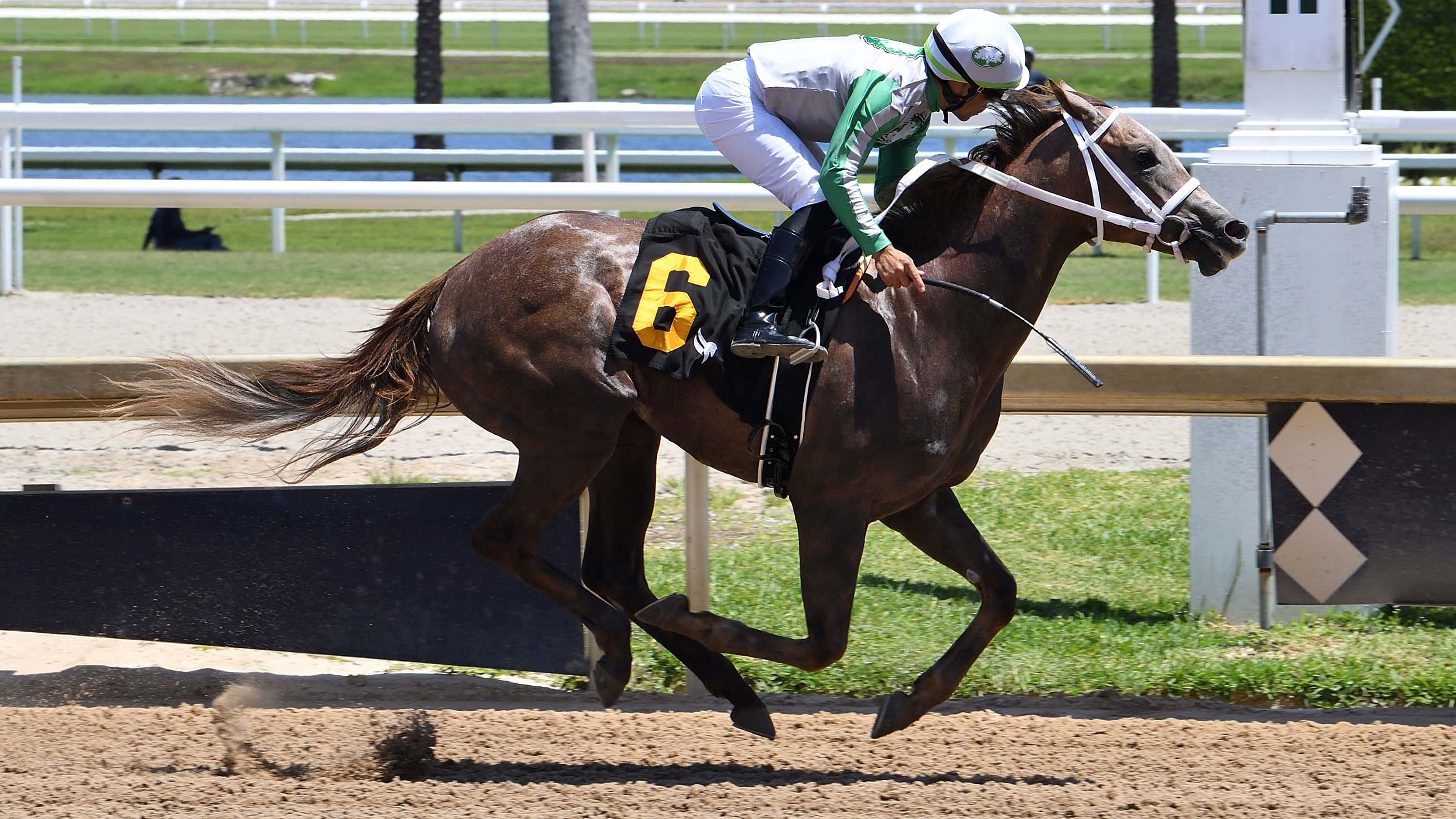 Well-Connected Boots Dominates First 2YO Race of Year