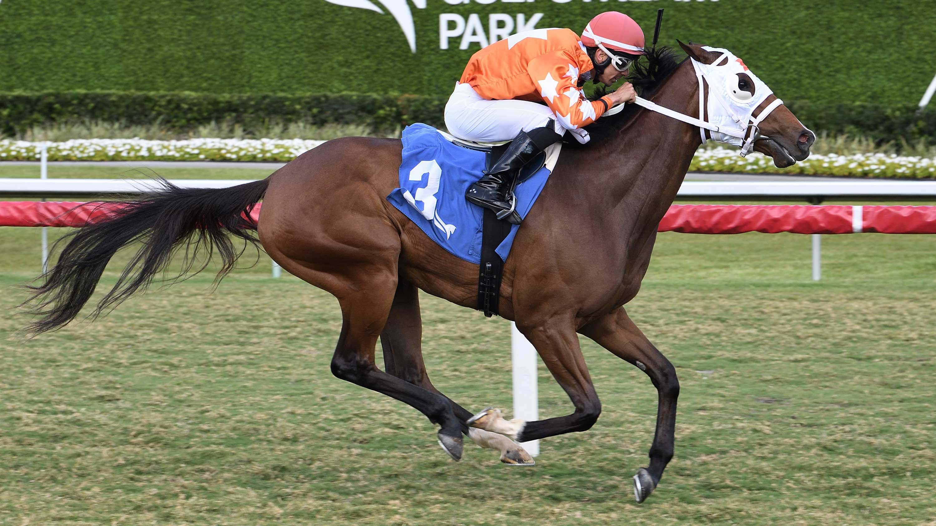 Starship Impulsive Seeks to Double Up in Martha Washington