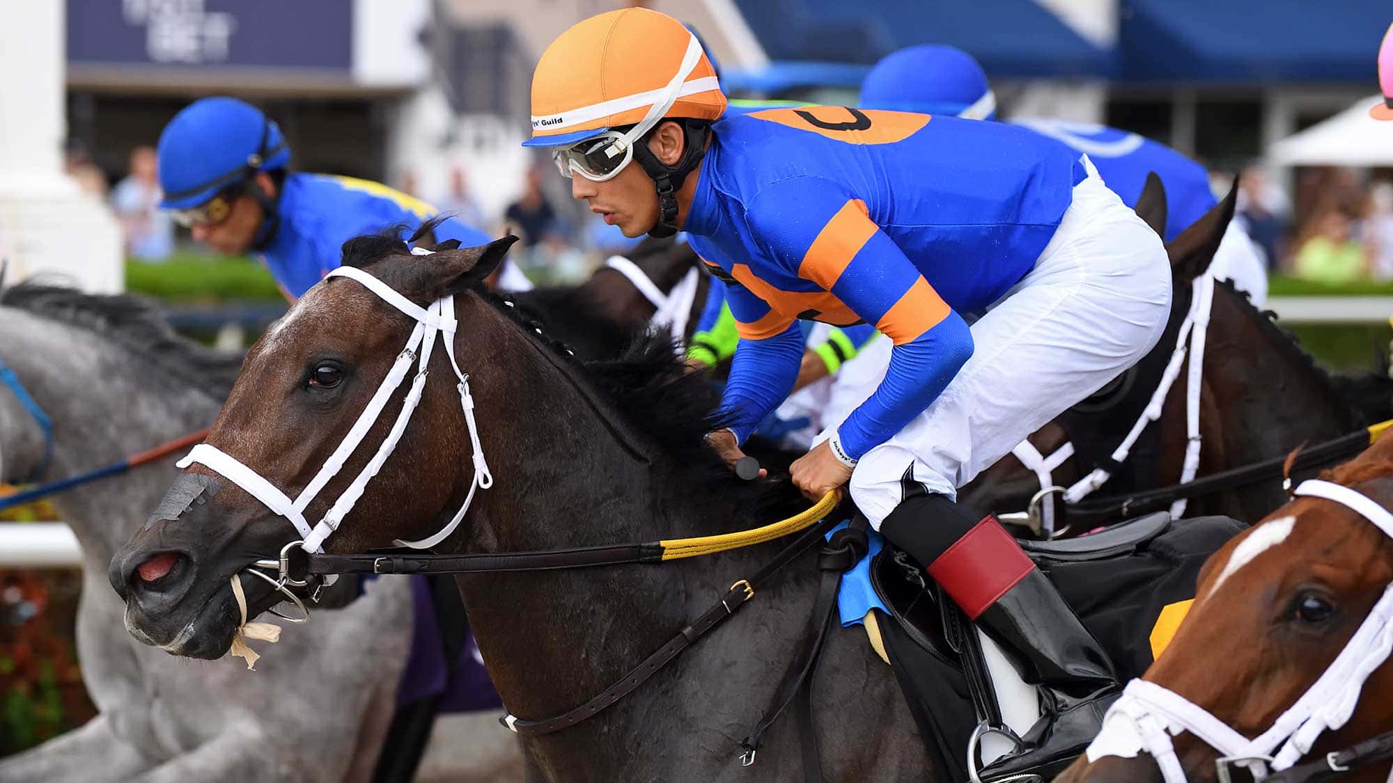 Blind-Spot-The-Our-Dear-Peggy