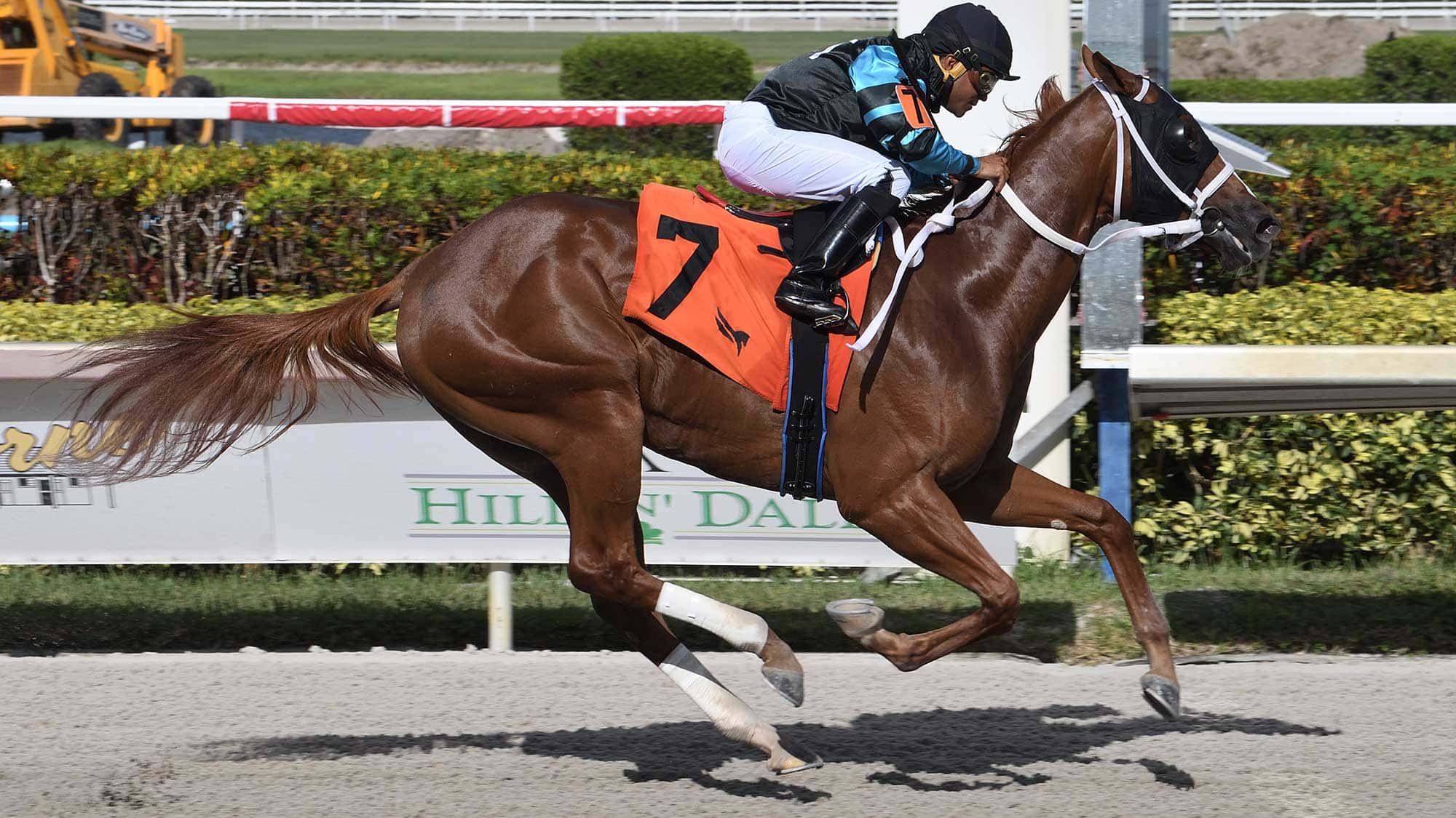 Awesome-Strong-the-FSS-Dr-Fager-2