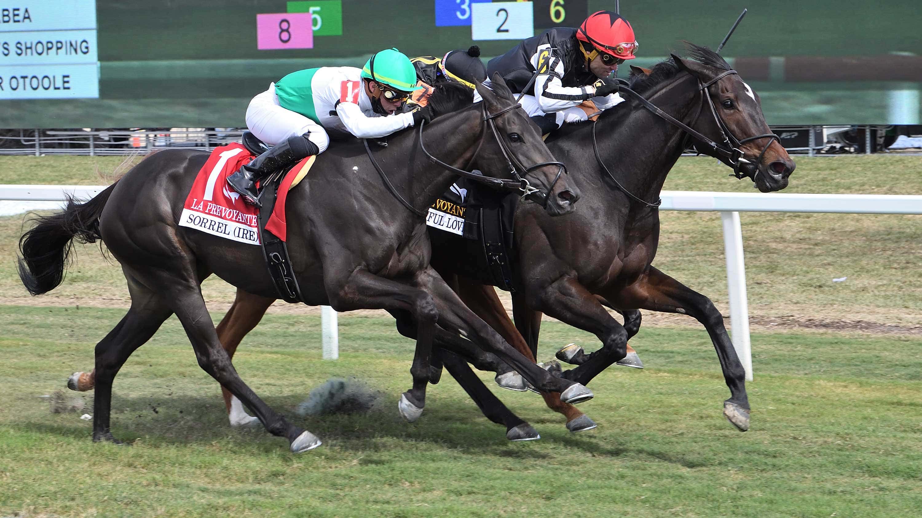 Beautiful-Lover-the-La-Prevoyante3