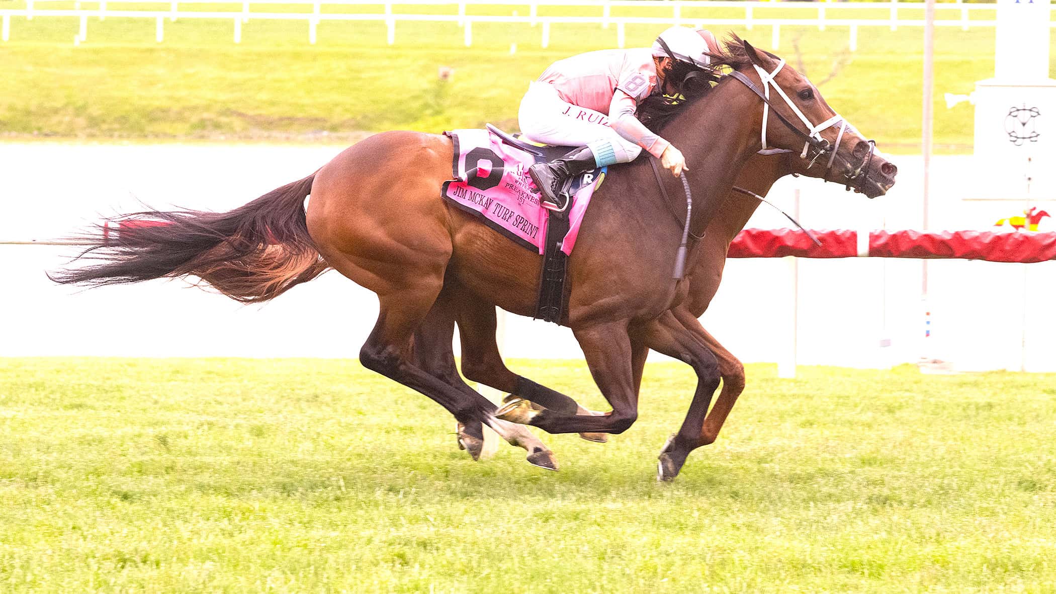 Chasing Liberty Gets Nose Down in Jim McKay Turf Sprint