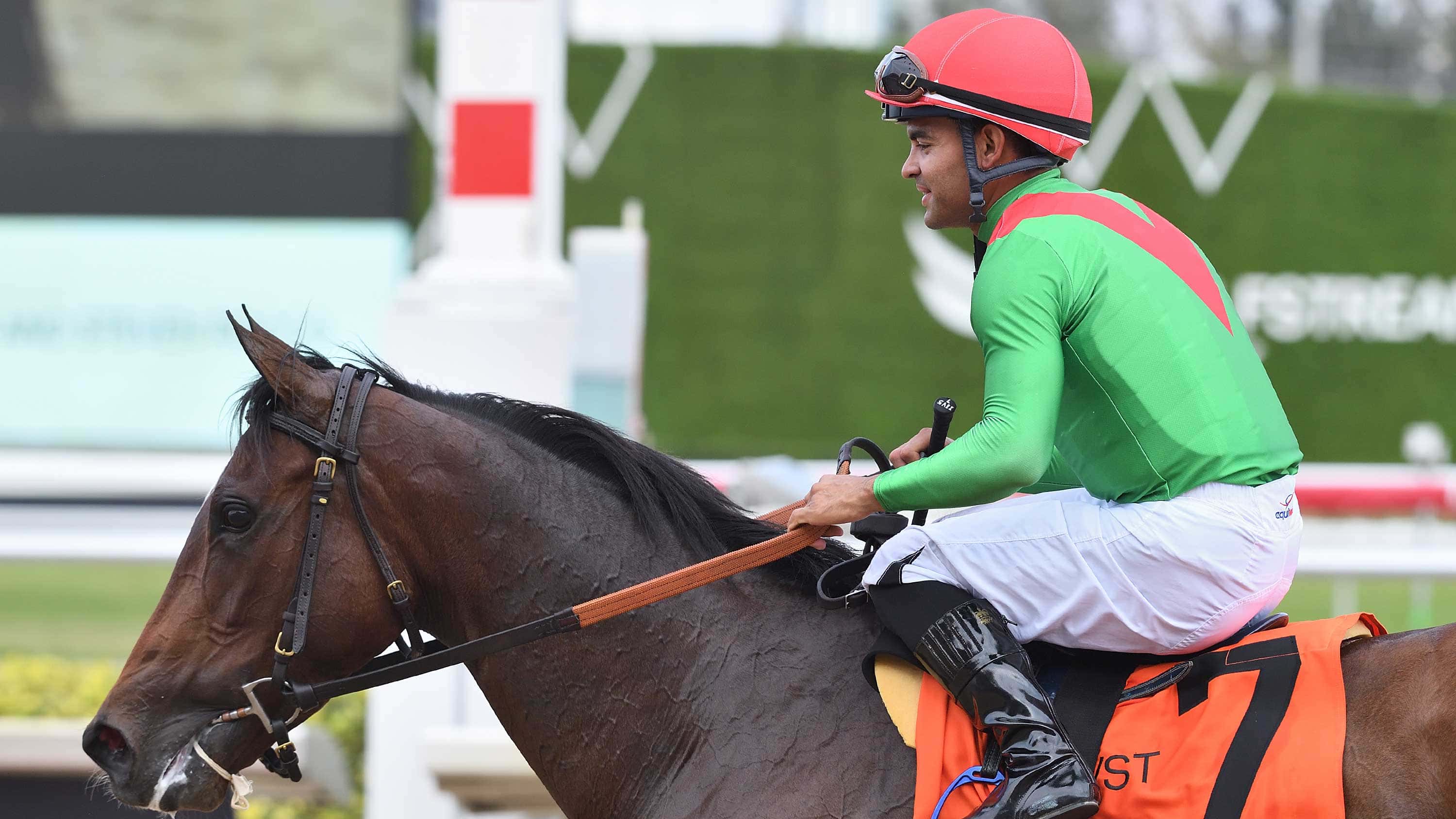 Special Wan Makes the Grade in $165,000 Honey Fox (G3)