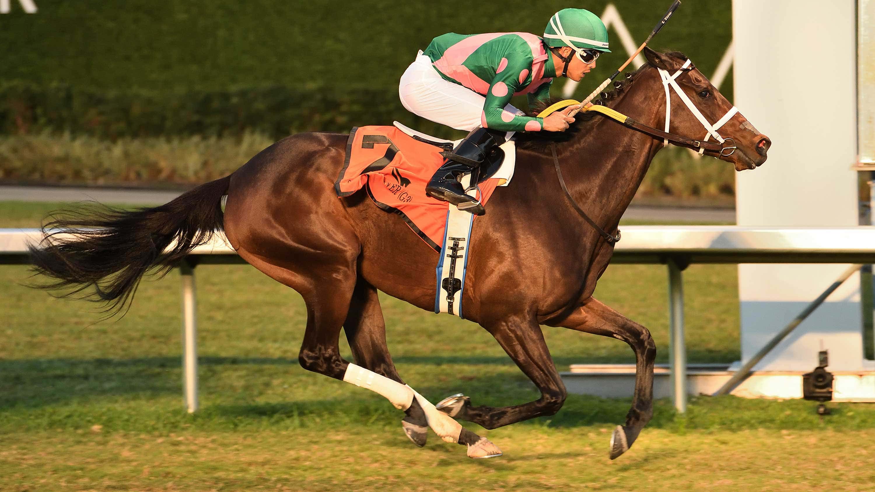 Be Your Best Was Much the Best in Winning $165,000 Suwanee River Handicap (G3)