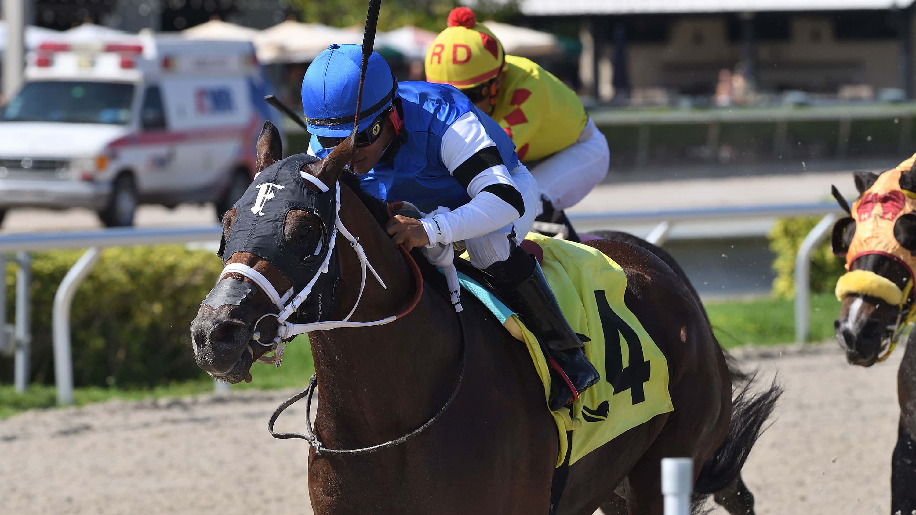 Florida Vacation on Tap for Well-Traveled Reef Runner