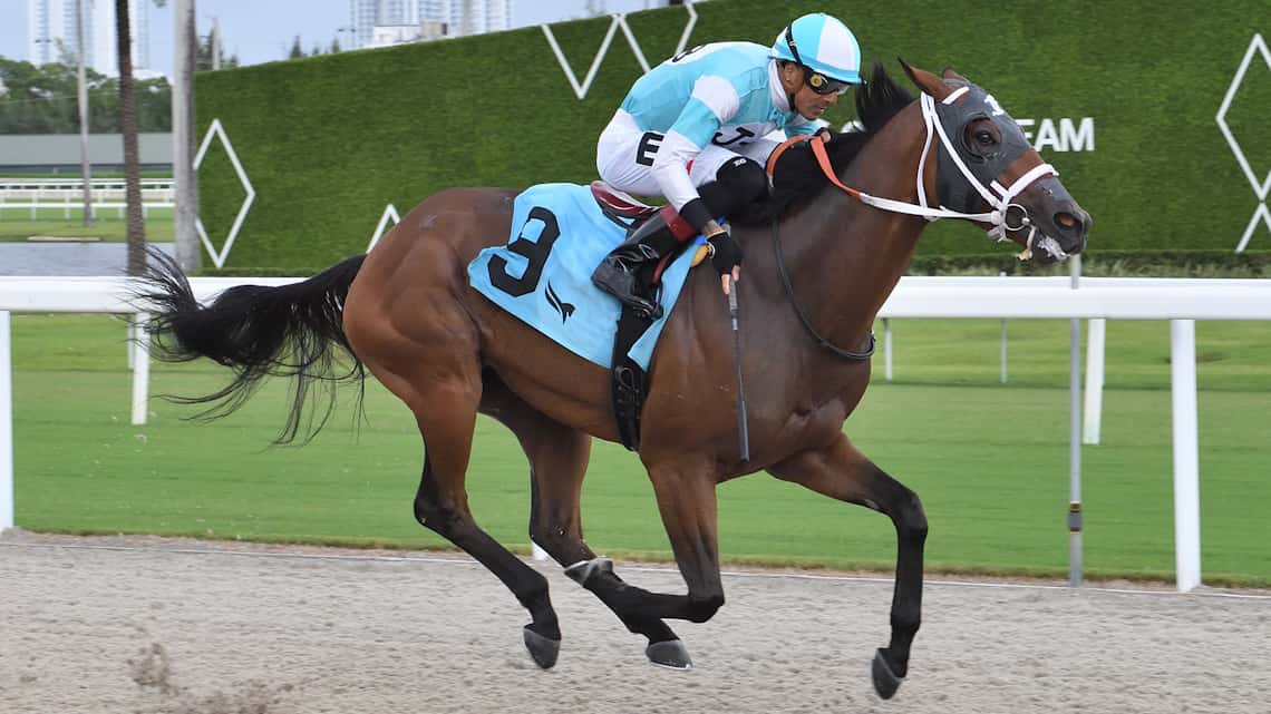 Asher’s Edge Takes on Nine Rivals in Go Cats Go Handicap
