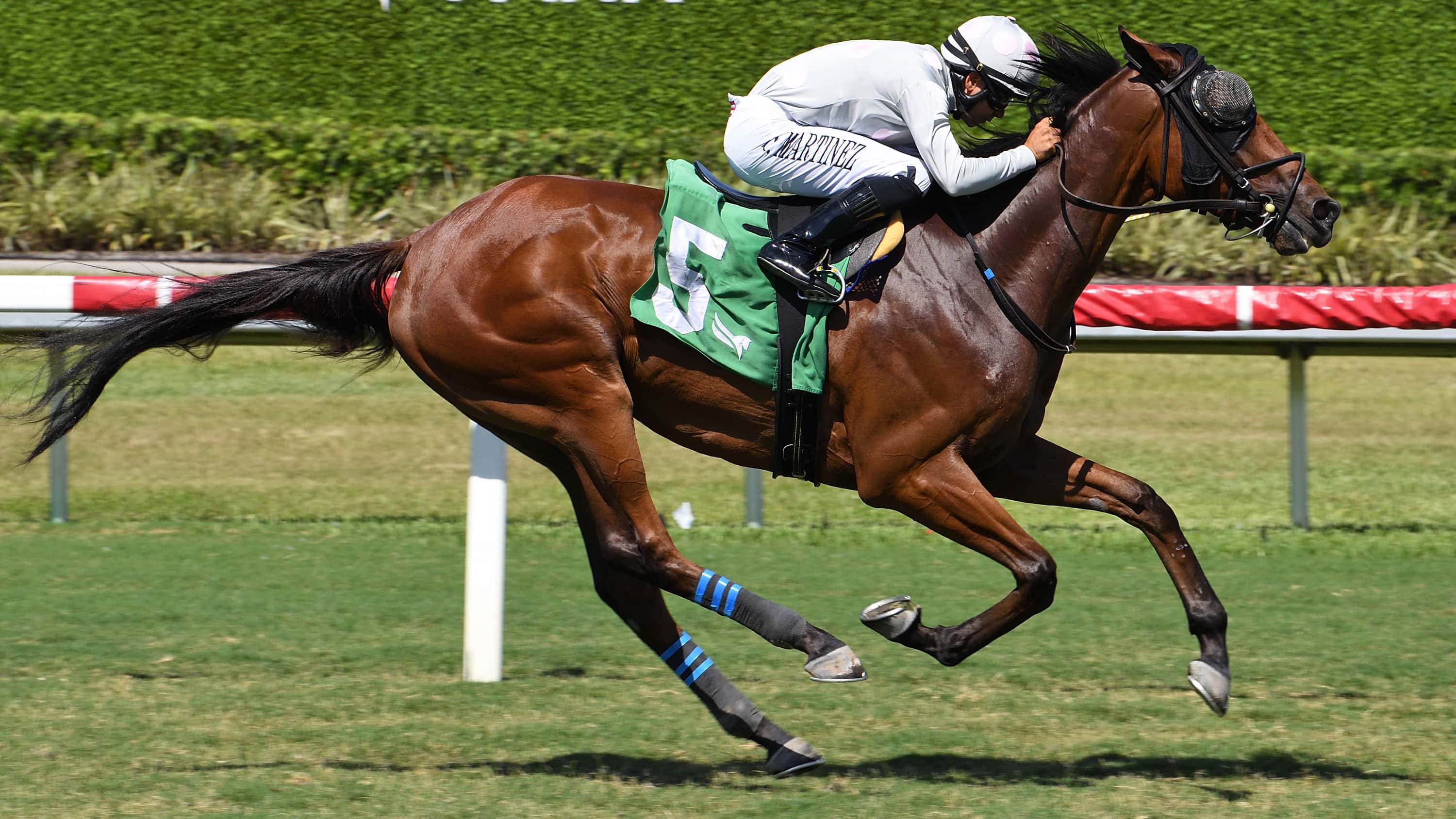 G3 Winner Layabout Returns in $100,000 Soldier’s Dancer