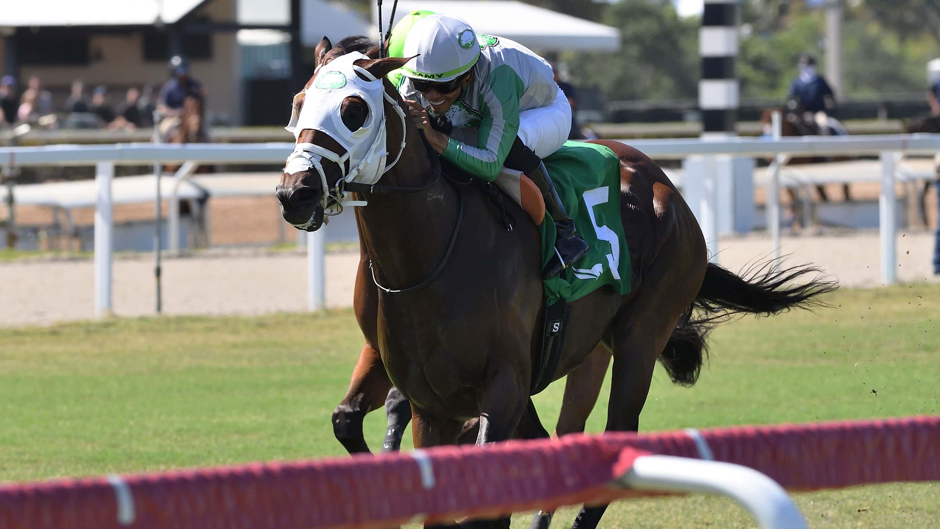 Tank Leads All the Way in $100,000 FHBPA Turf Win