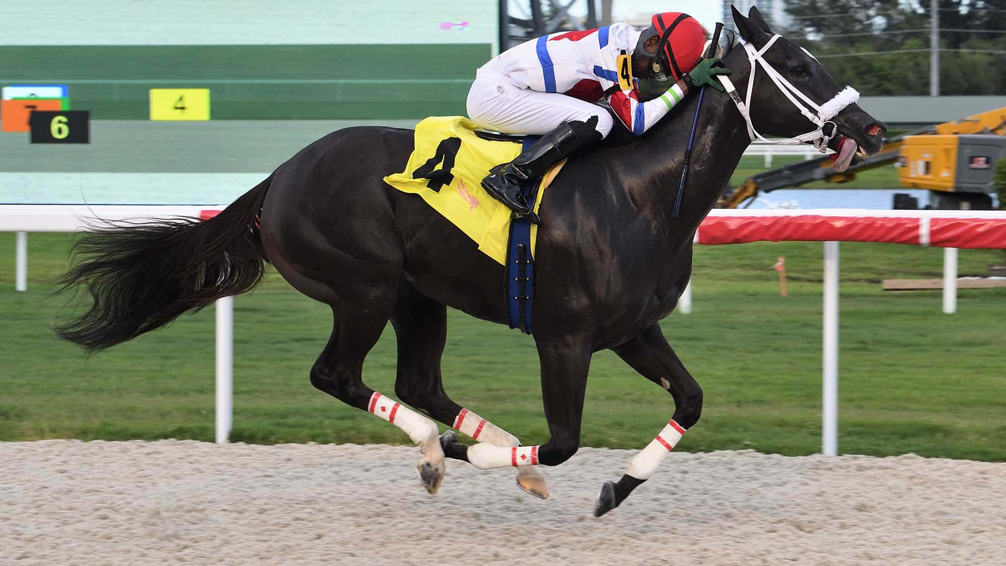 Running-Memories-the-Bay-Harbor-Islands