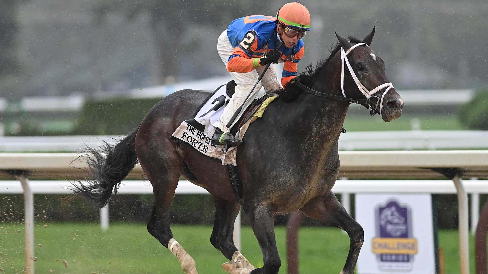 forte-the-hopeful6-0