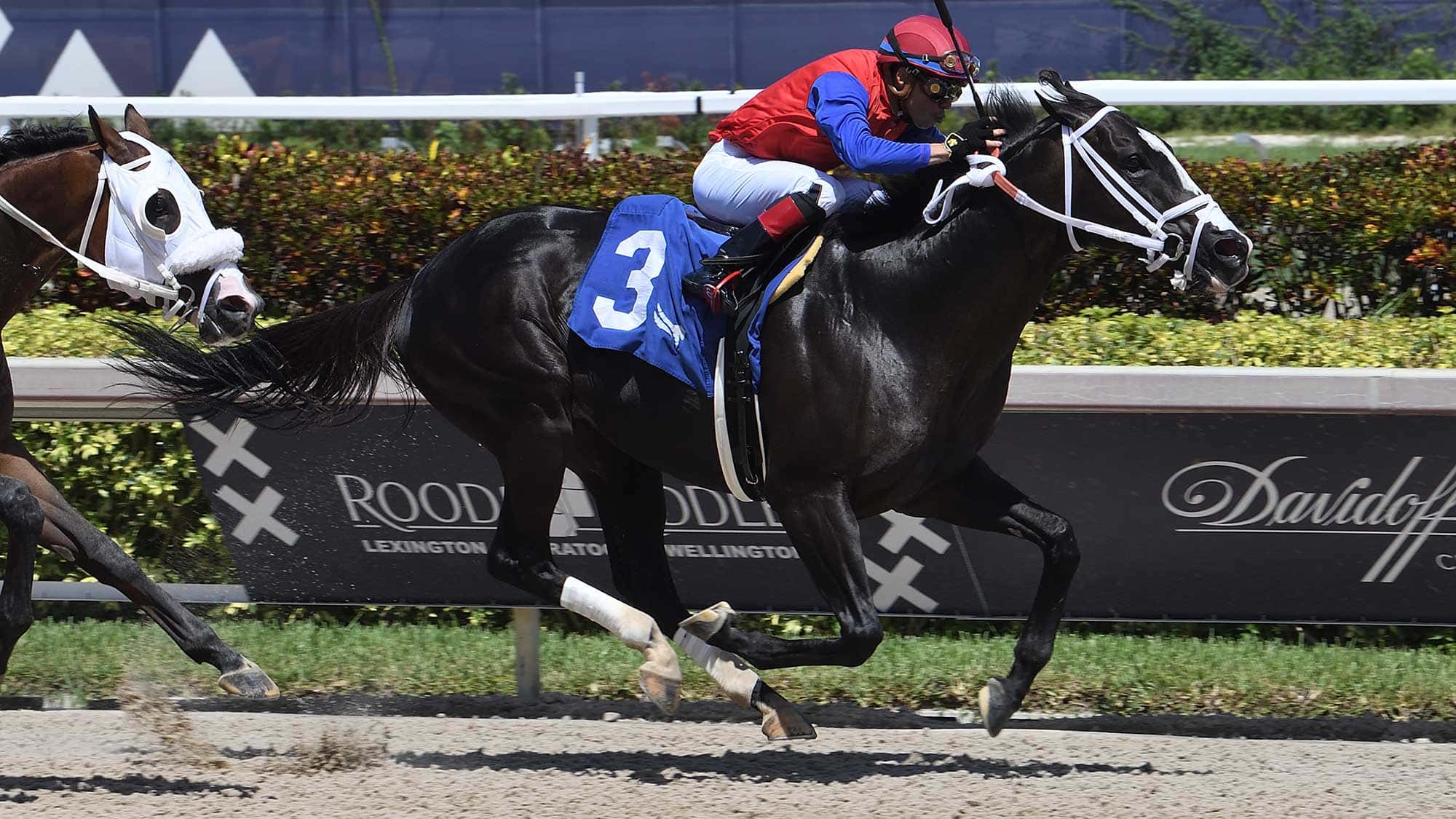 Long-Range-Toddy-the-ET-Broome-Memorial