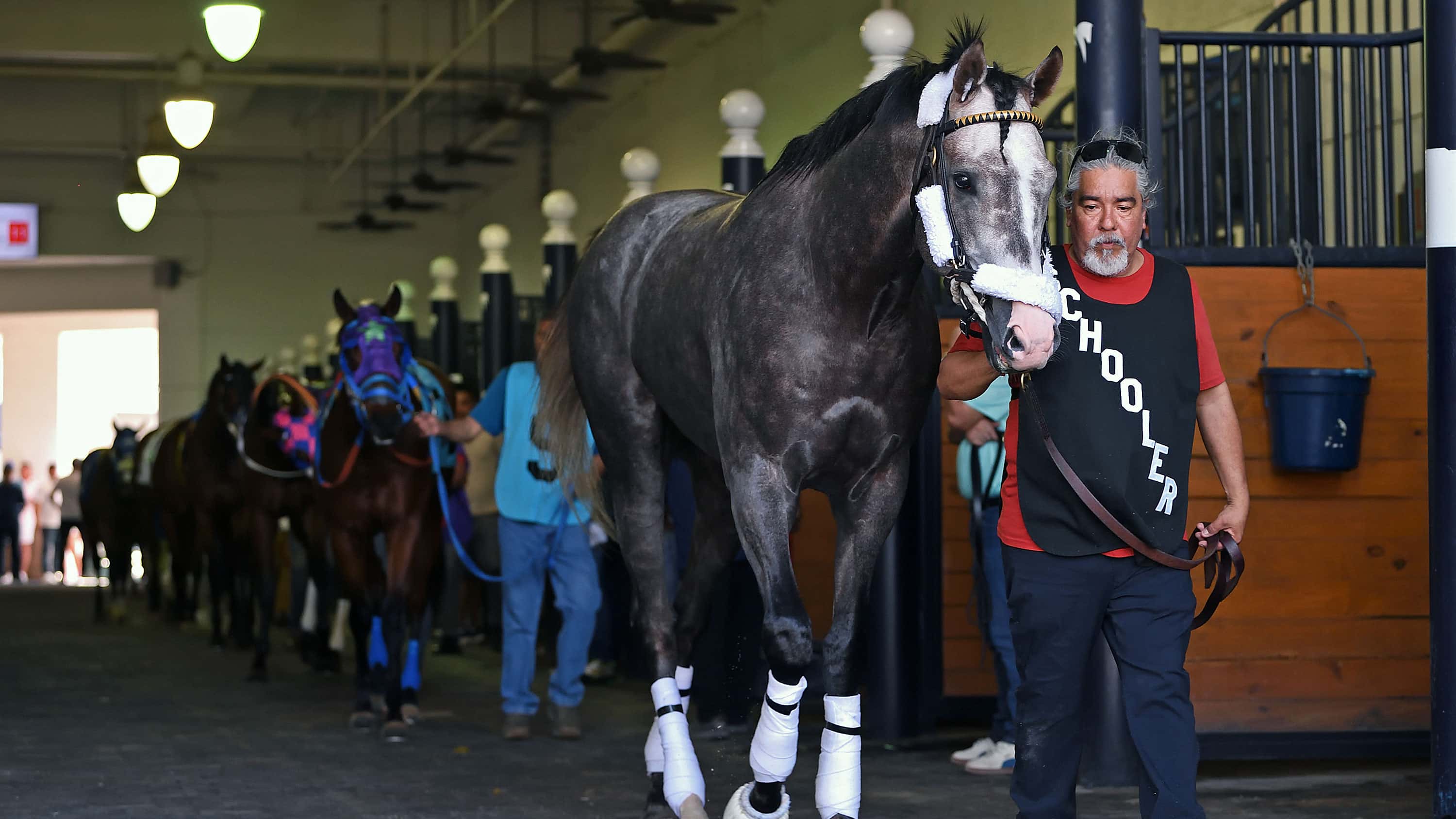 Napoleon Solo Breezes Thursday, Next Race Undecided