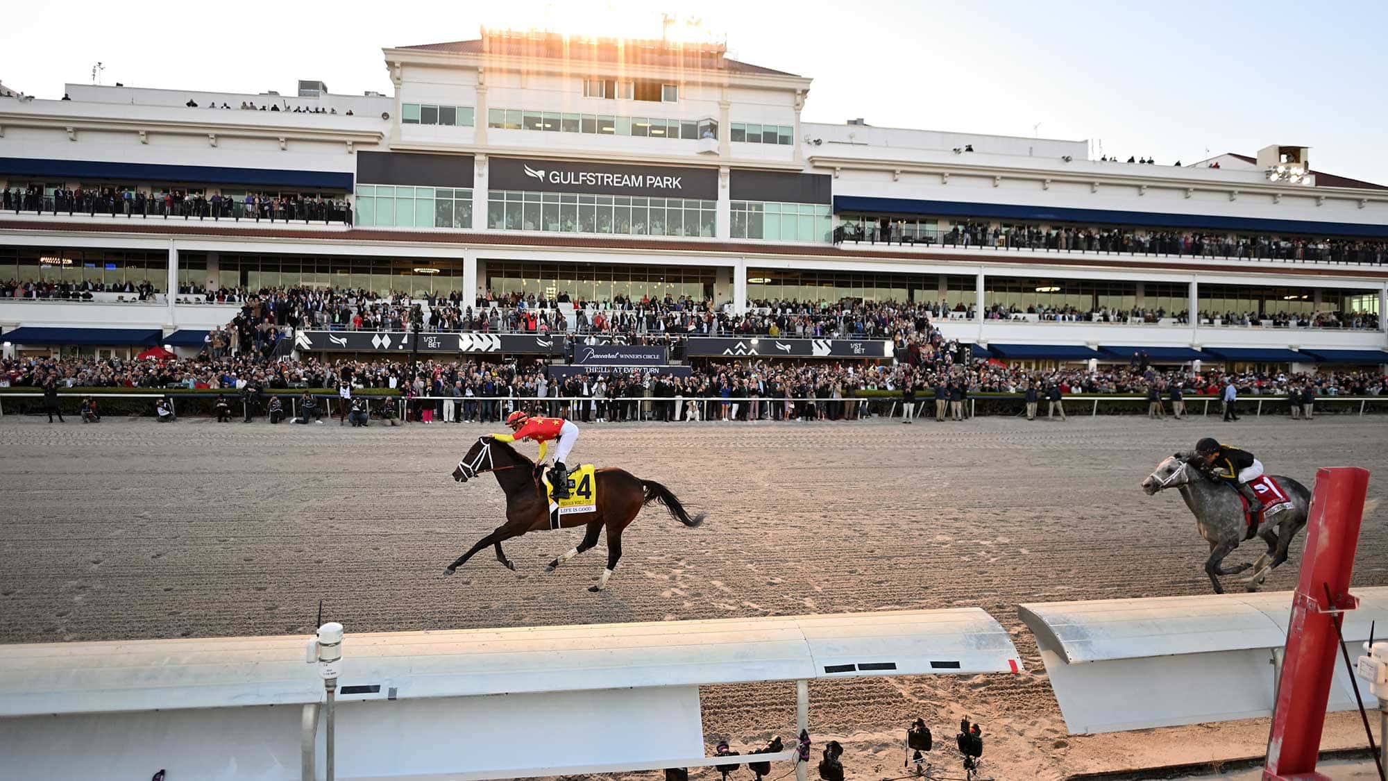 Life-is-Good-the-Pegasus-13