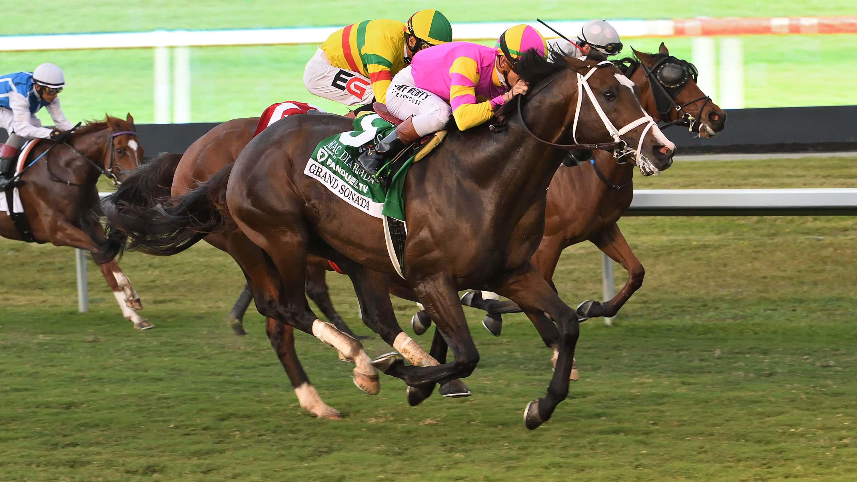 Grand Sonata Wins $225,000 Mac Diarmida (G2) Following Lengthy Dry Spell