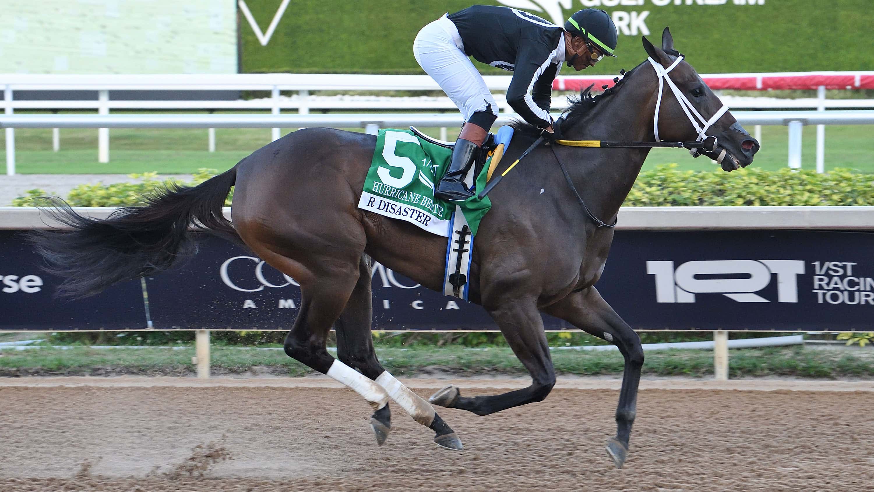 R Disaster Comes Back Running in G3 Hurricane Bertie