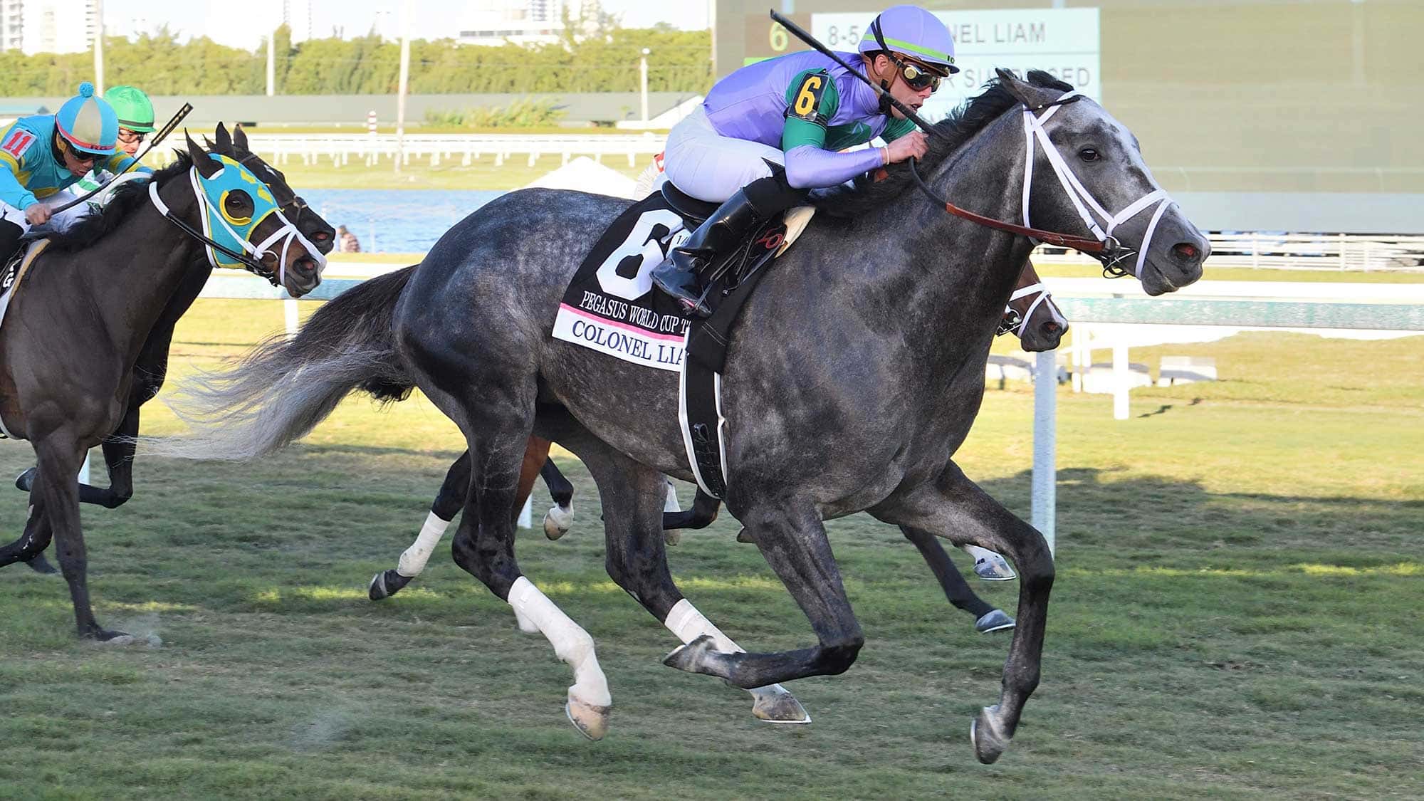 Colonel-Liam-the-Pegasus-Turf-01