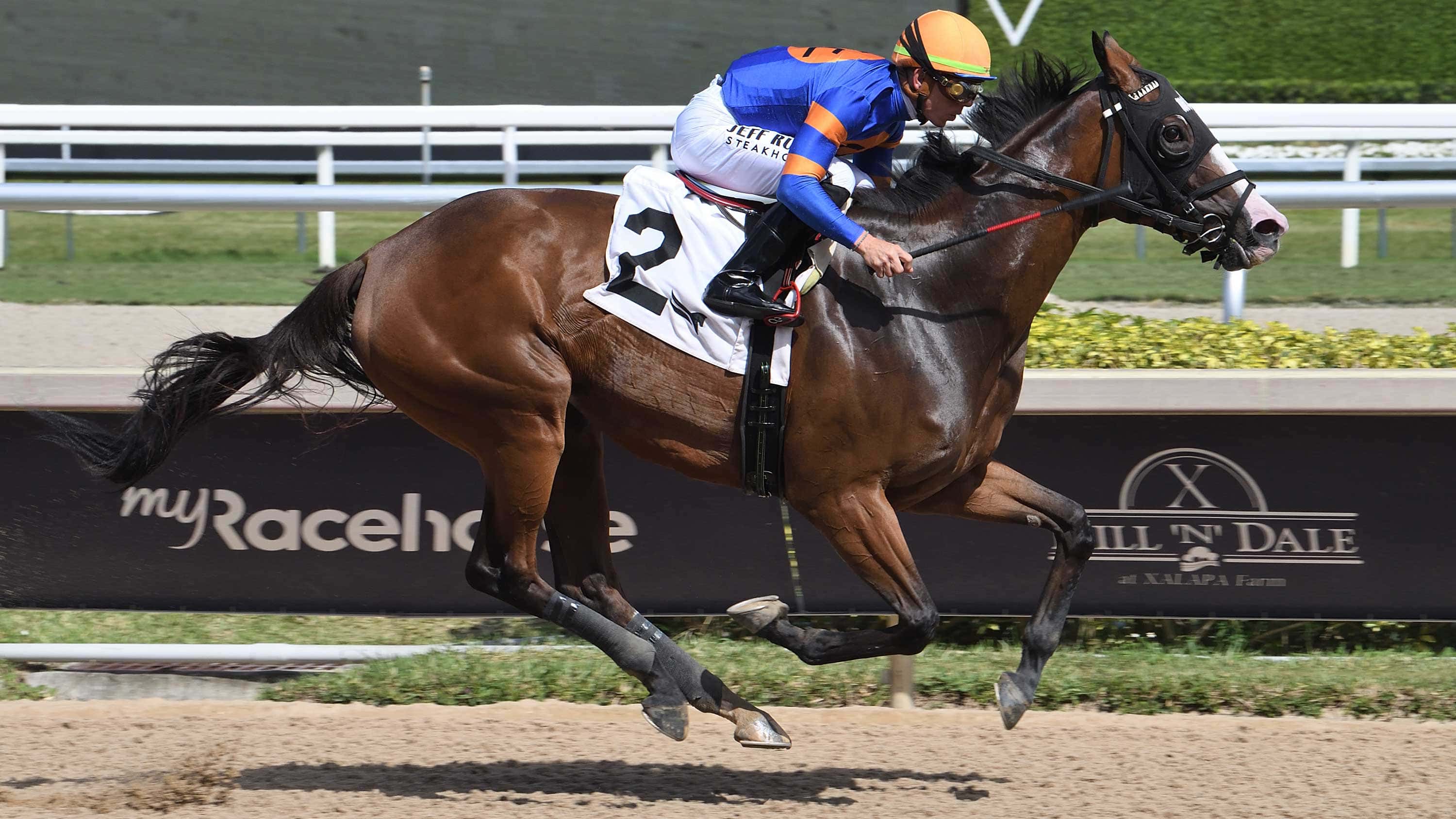 Literate Upsets Just F Y I, Gun Song in Thursday Feature