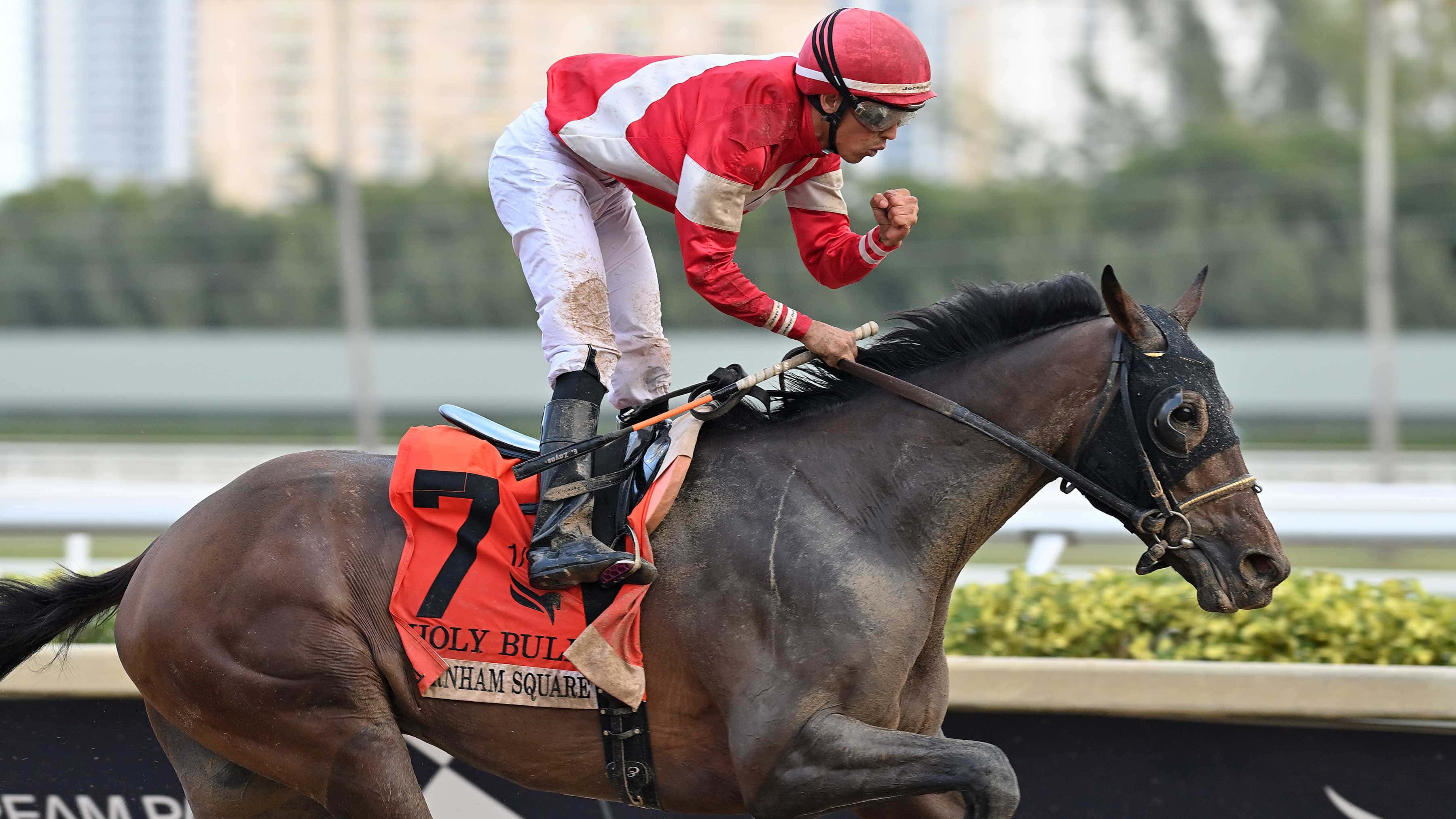 Focused Burnham Square Springs Holy Bull (G3) Upset