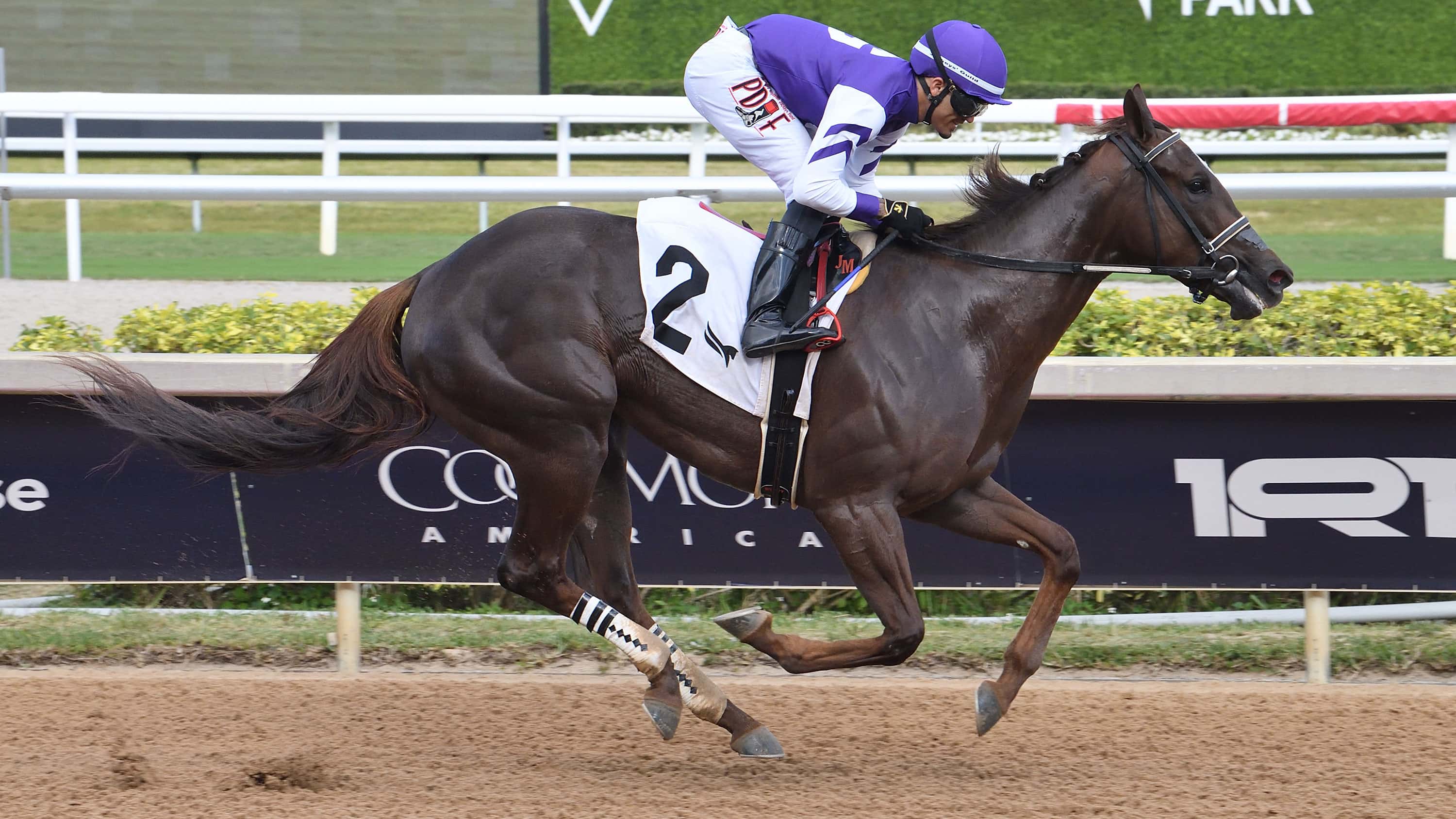 Sweet Ember Takes Win Streak into $125,000 Any Limit
