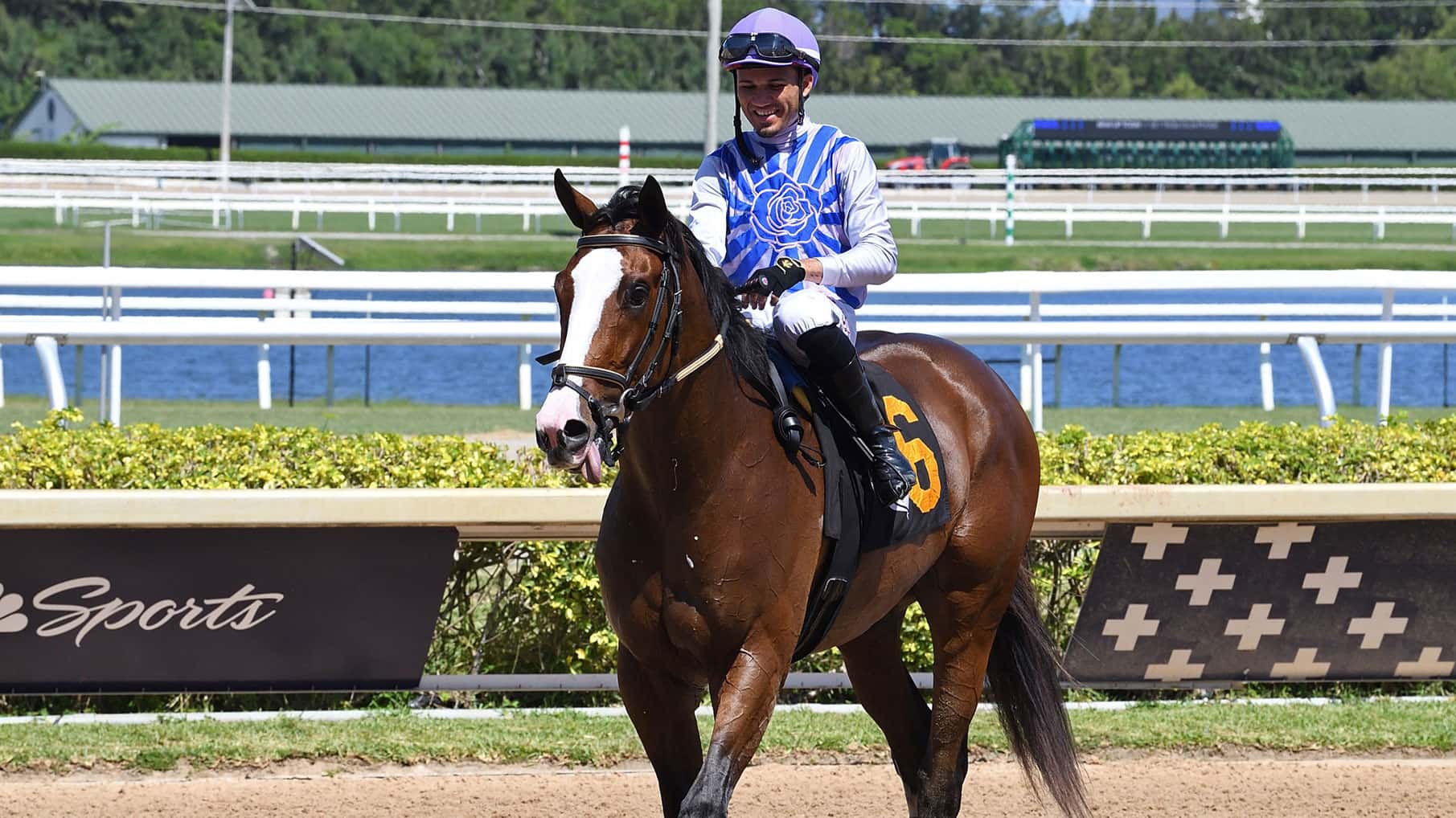Moonstrocity Brings Experience into Saturday’s Carry Back