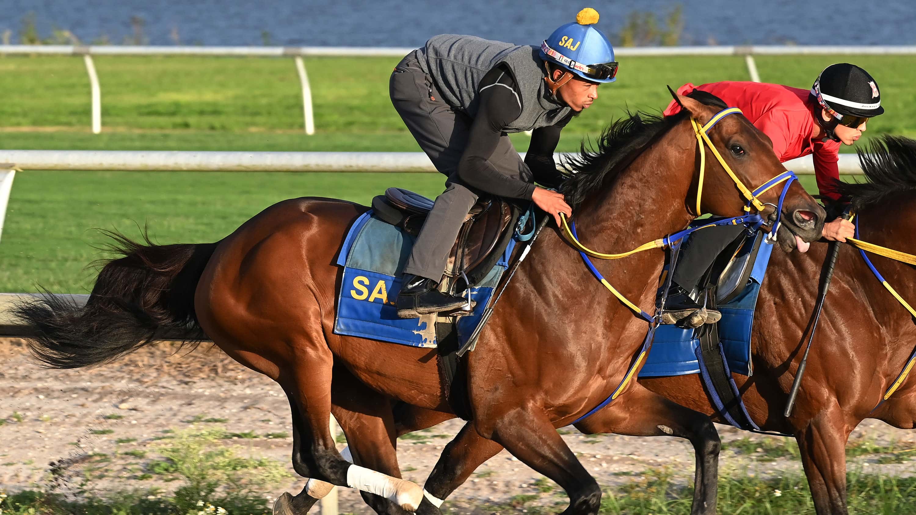 ‘Skippy’ Back for Record-Setting Fourth Try in Pegasus (G1)