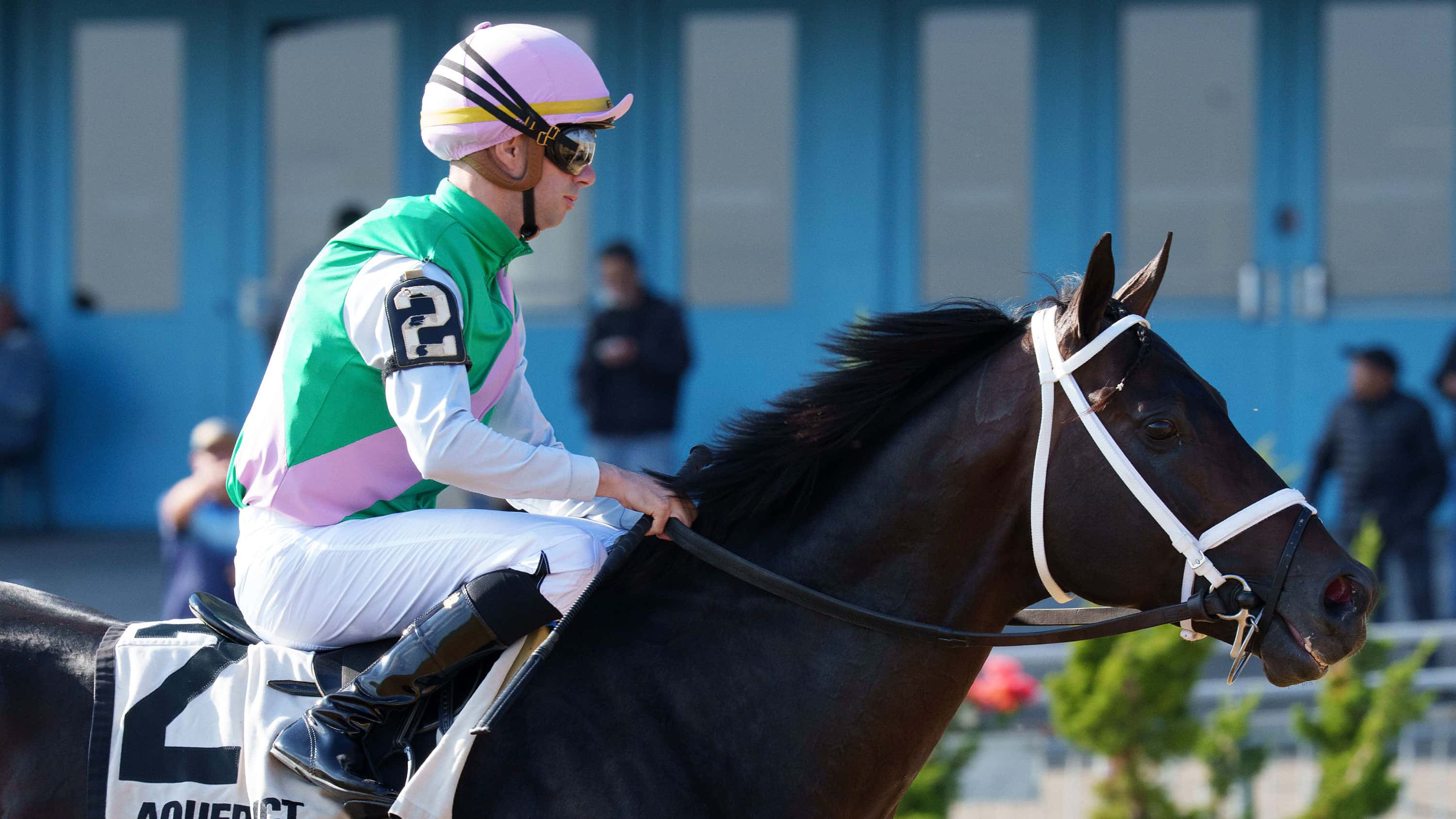 Cox Double Dangerous in Saturday’s $3M Pegasus World Cup