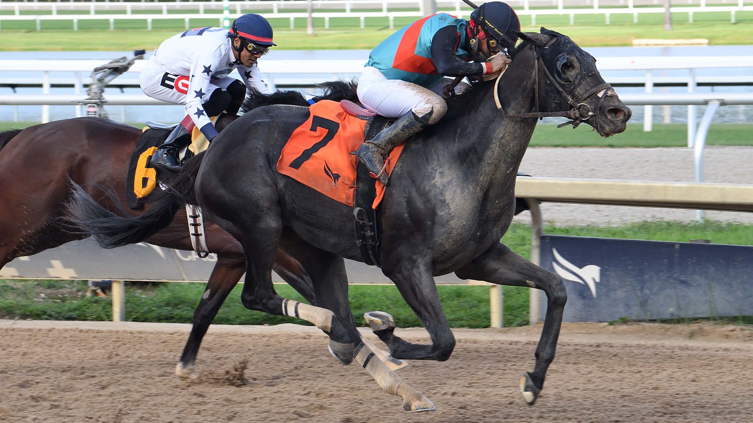 Lightning Tones Goes Last to First in Black Diamond Cat