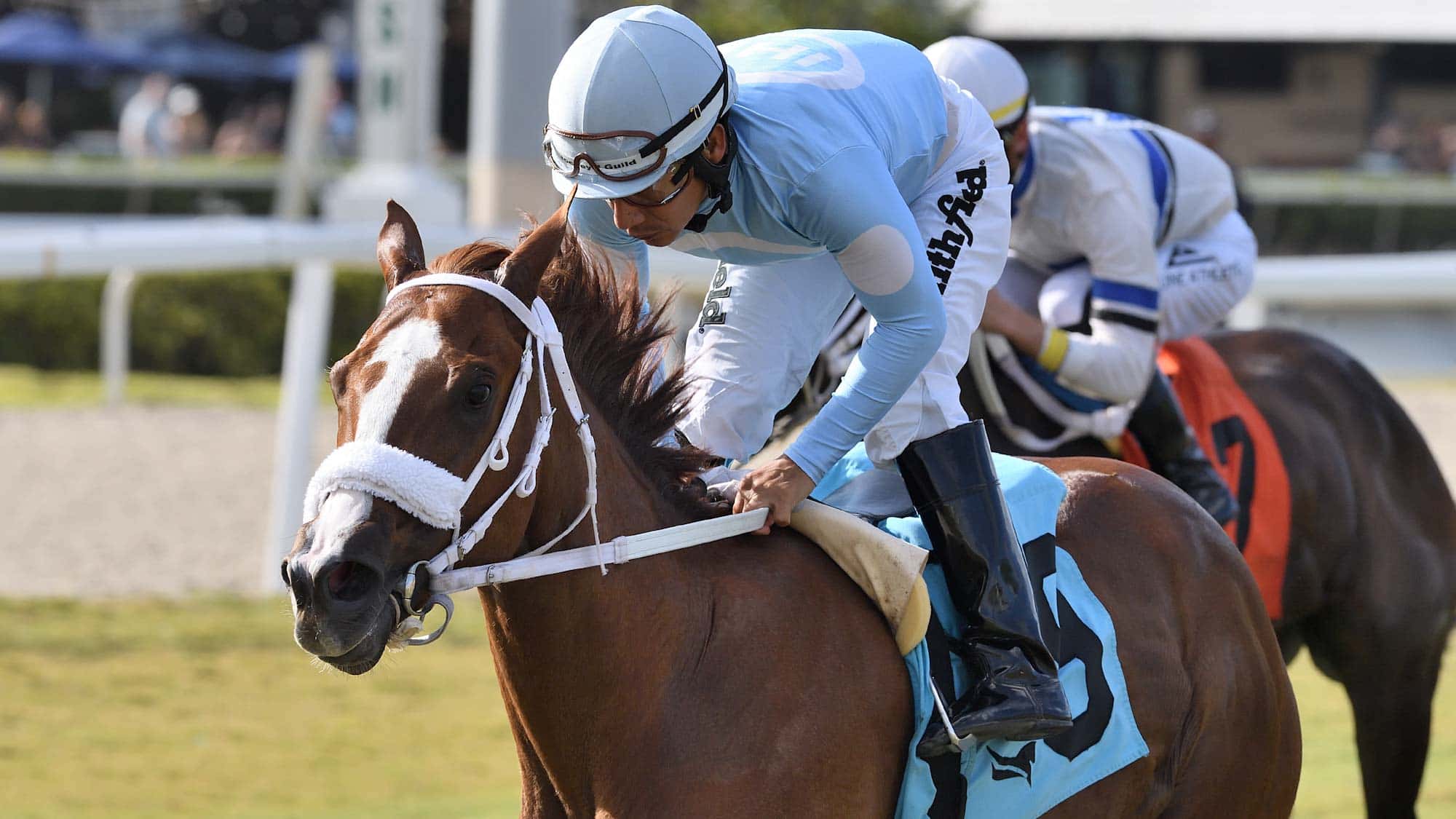 Beauty of the Sea the Golden Beach