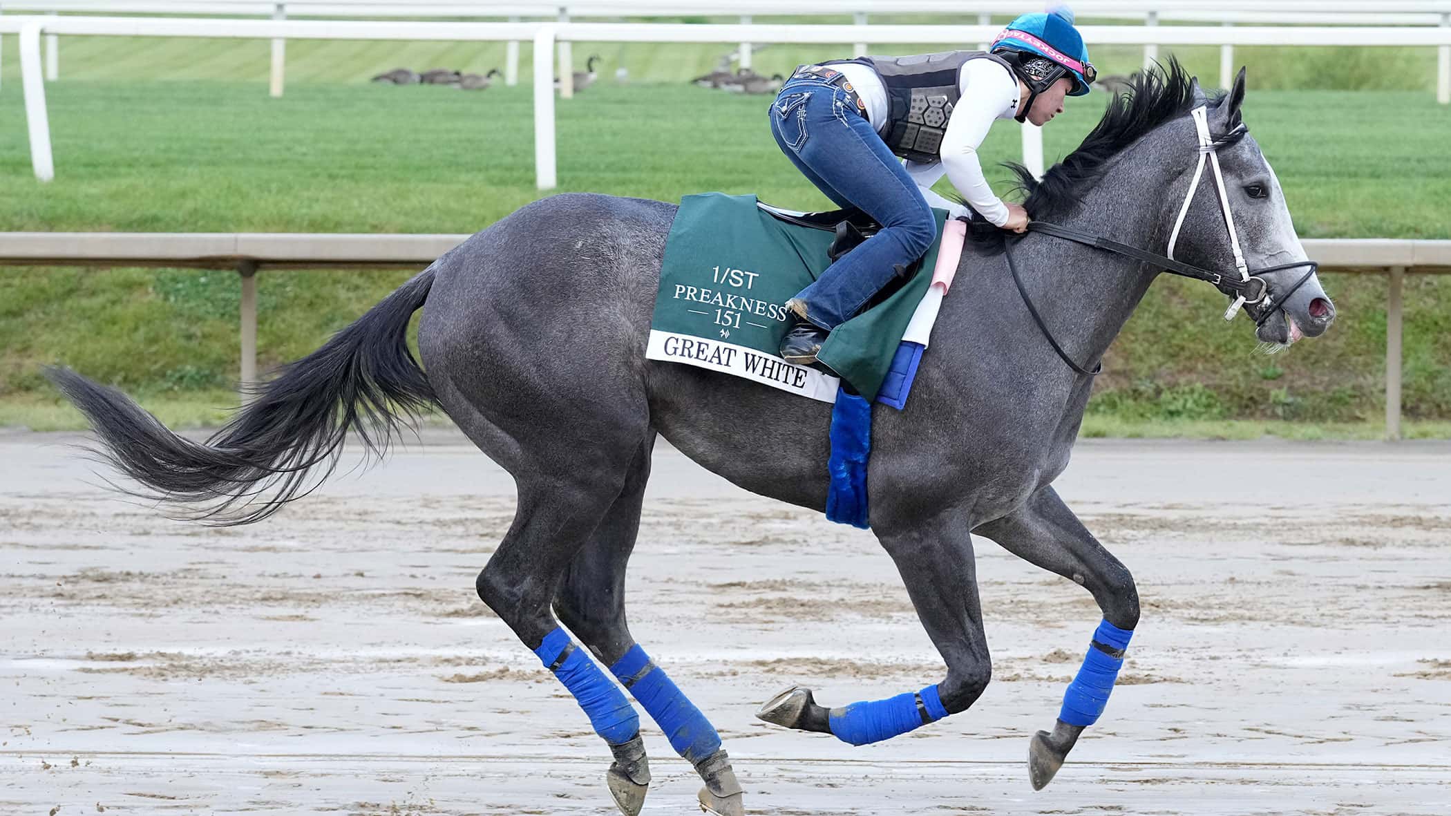 Thursday Just Another Day at Laurel Park for Taj Mahal