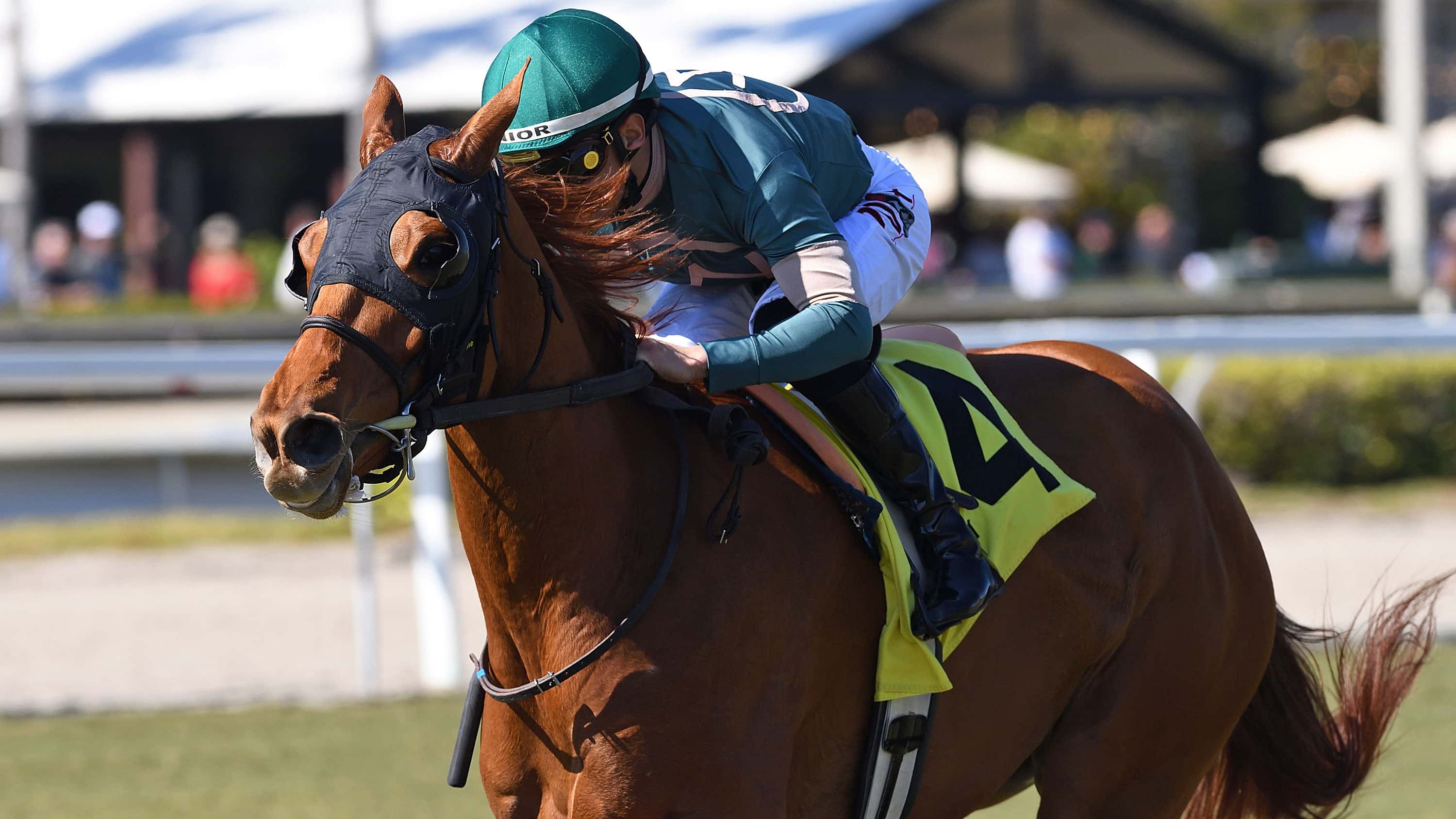 Leparoux Returns to Gulfstream to Ride Biancone Favorites