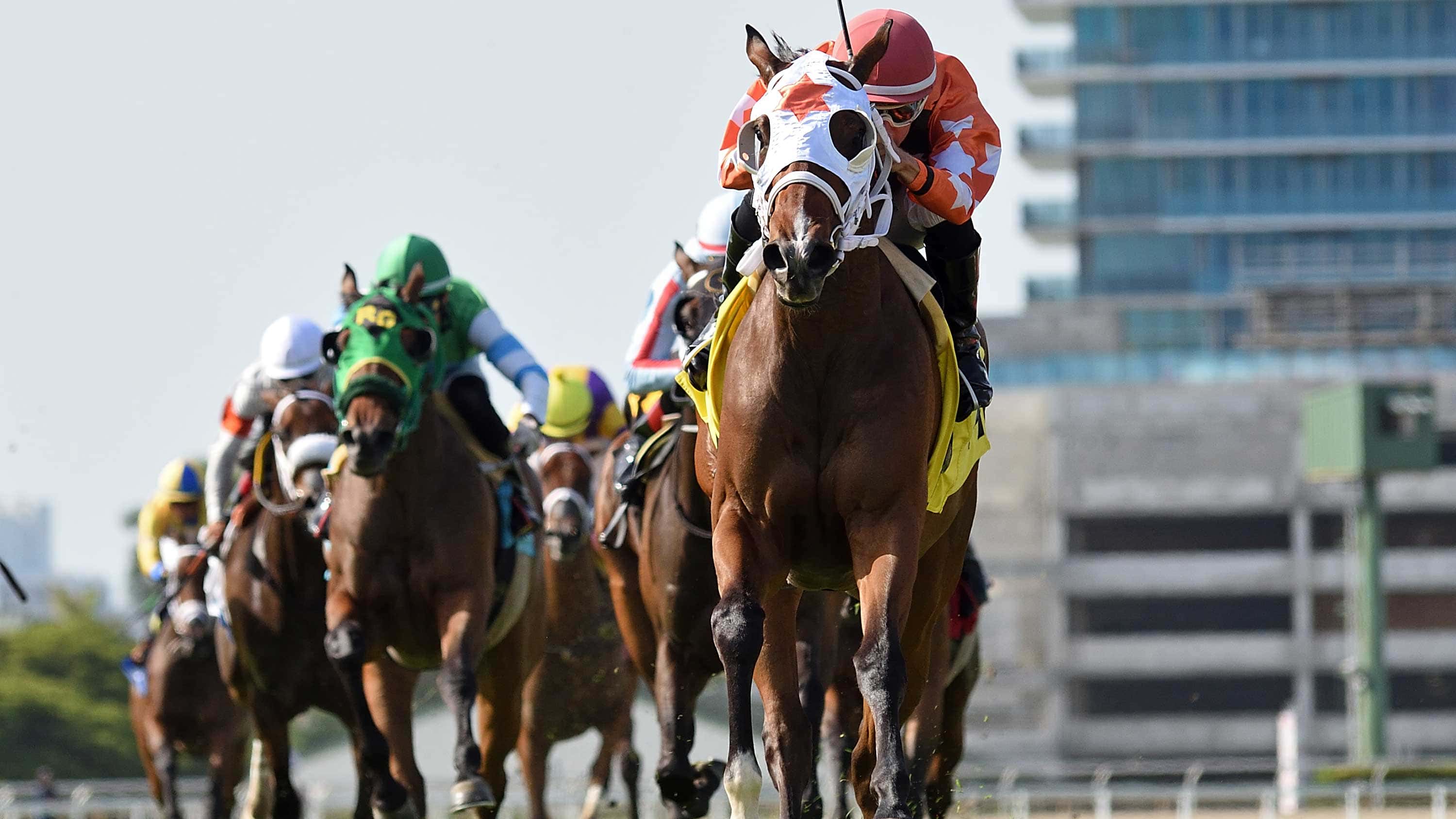 Starship Impulsive Soars to Victory in Martha Washington