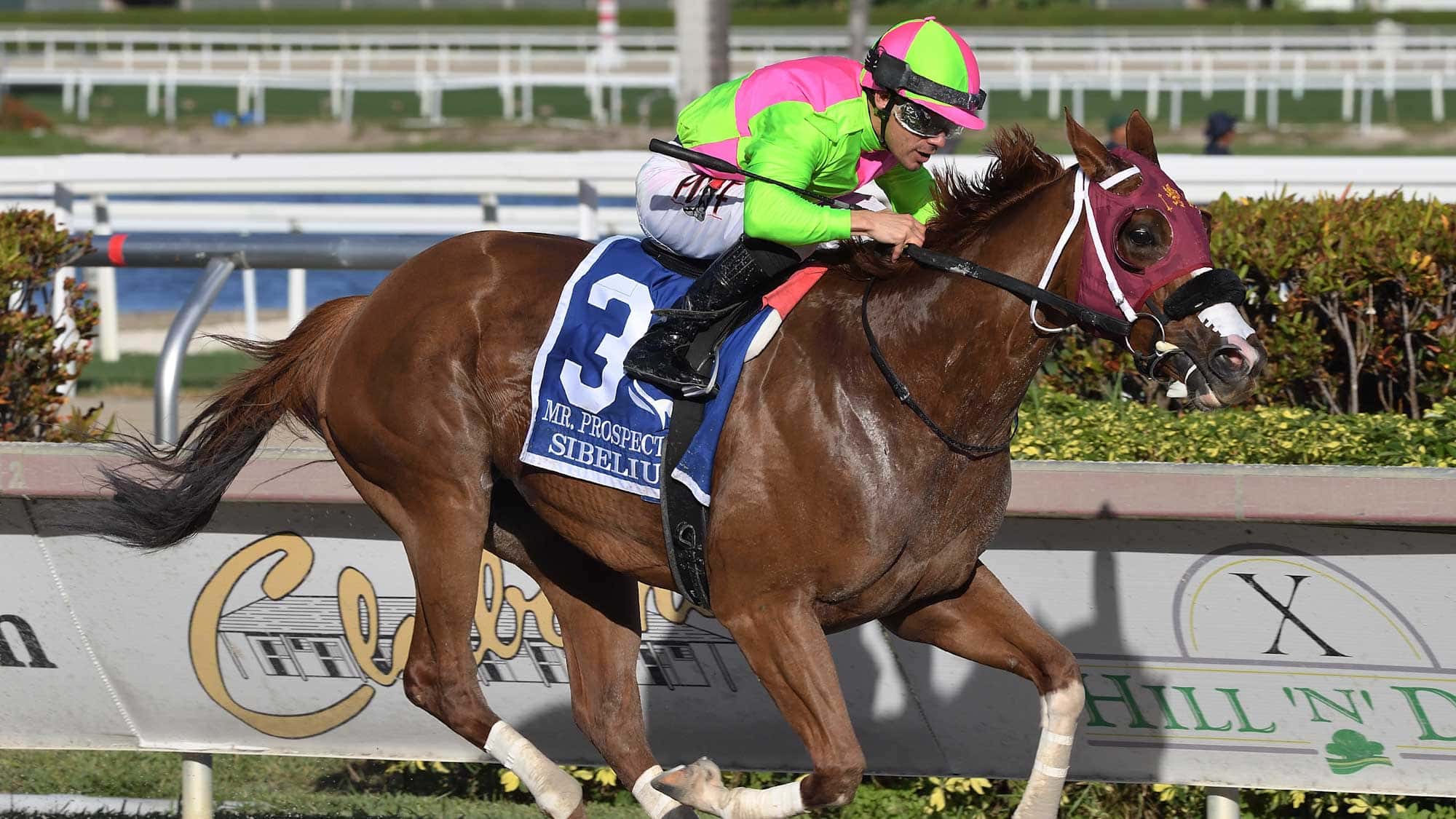 Sibelius-the-Mr-Prospector