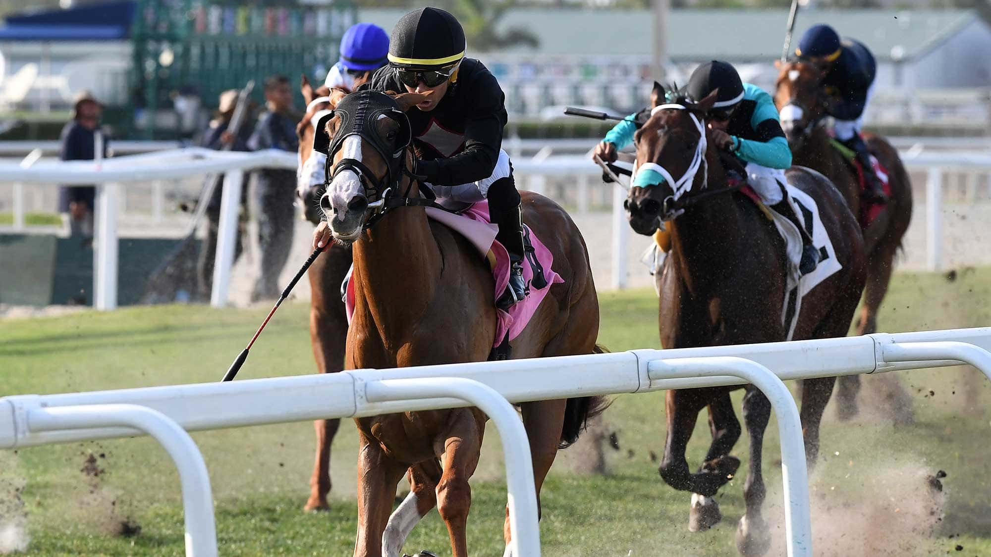 Swan-Lake-the-English-Channel