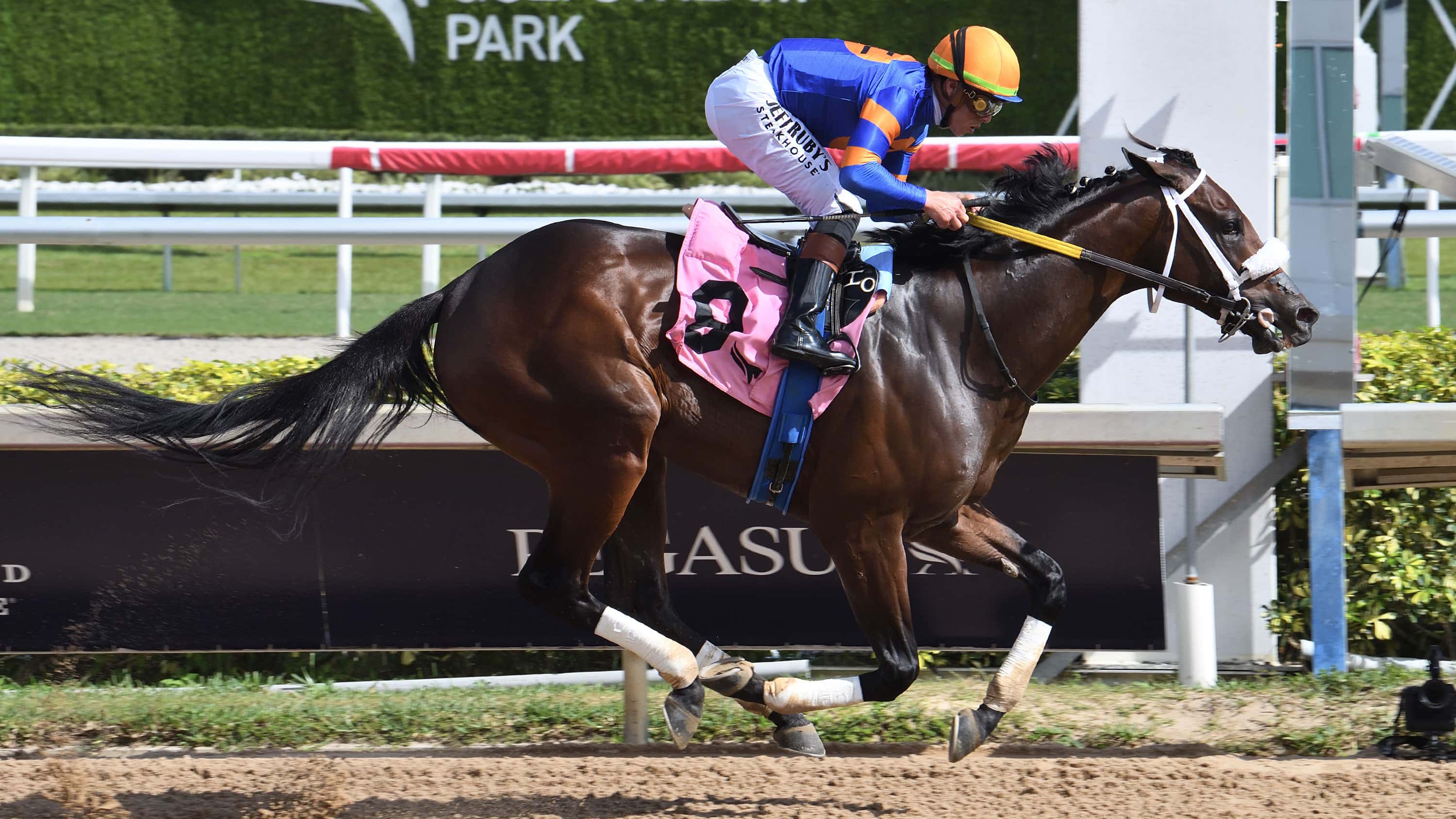 Code Review, Canaletto Impressive in Debuts
