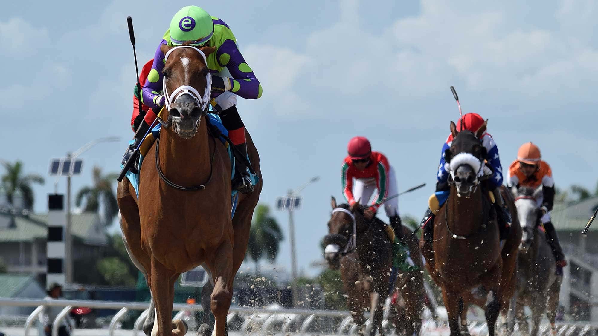 Transient-the-Powder-Break