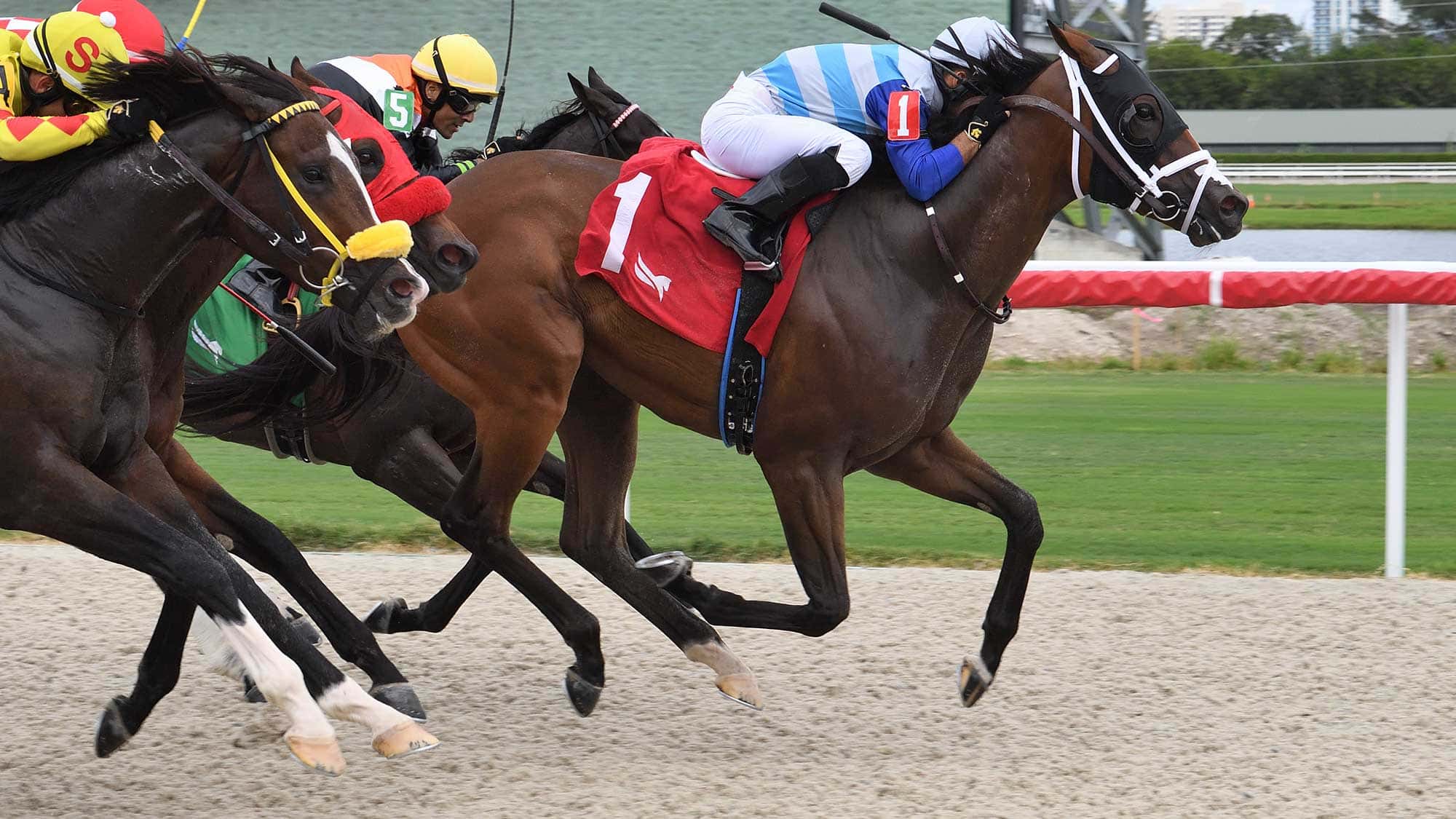 No-Name-Dude-the-Hollywood-Beach